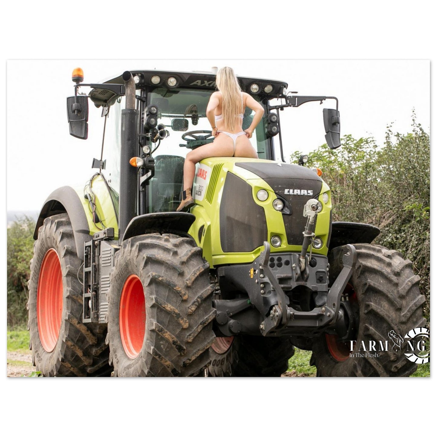 Claas Poster