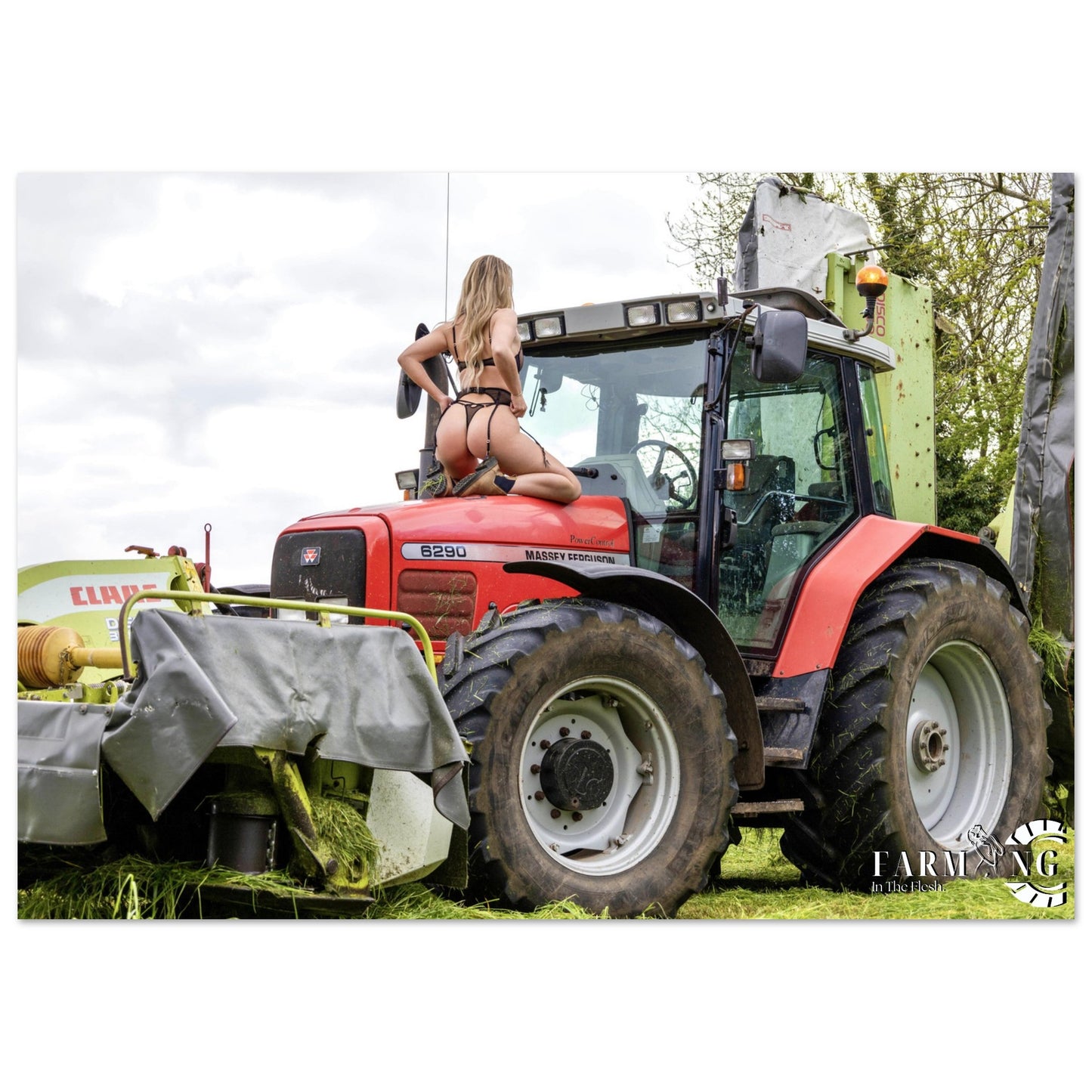 Massey Ferguson 6290 Classic Poster