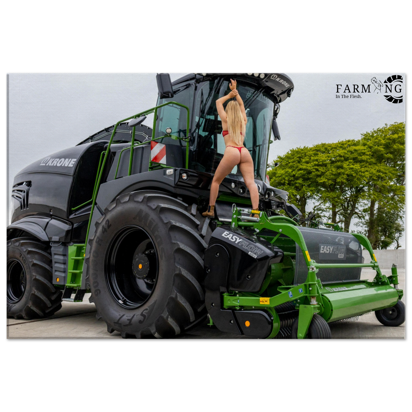 Krone Forager Canvas