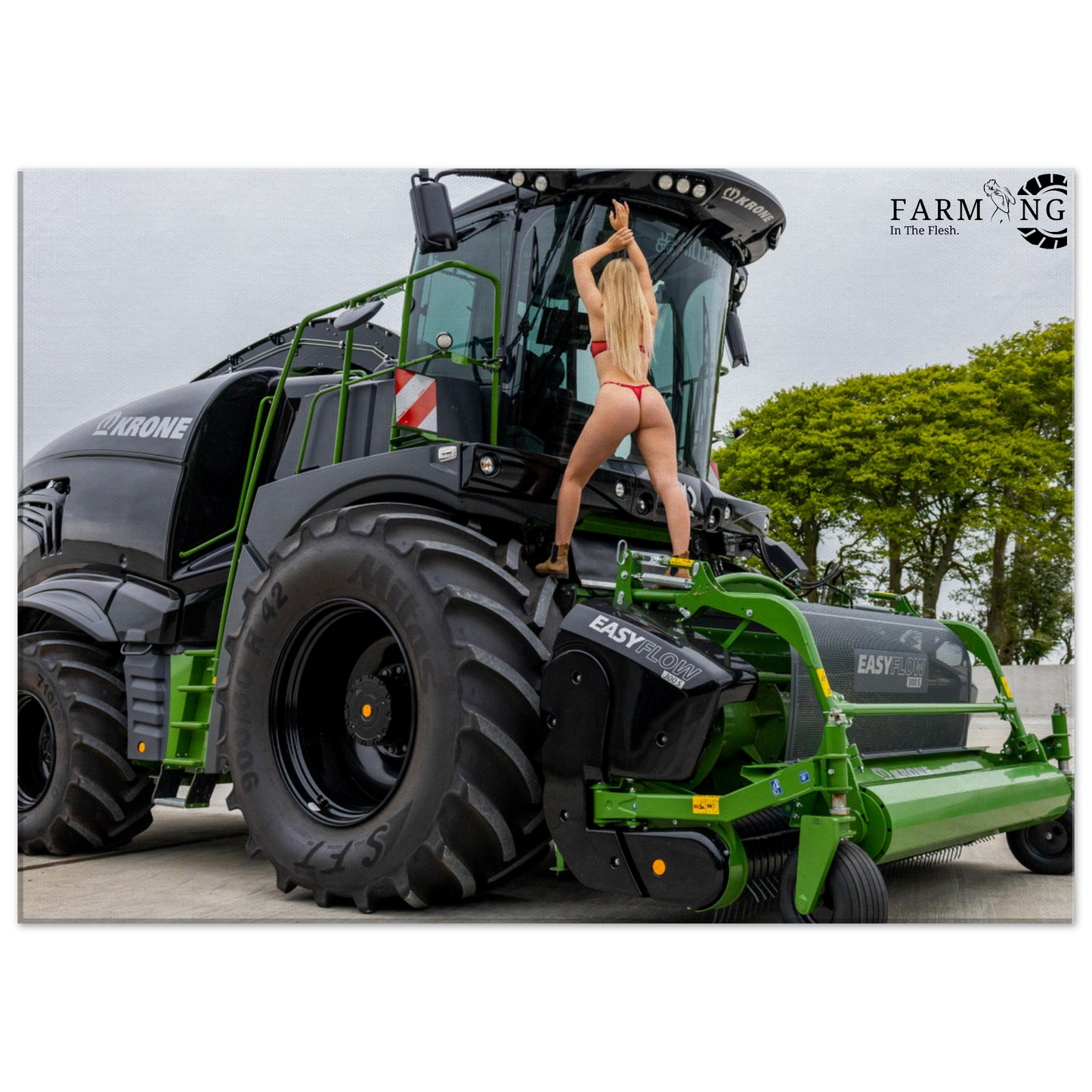 Krone Forager Canvas