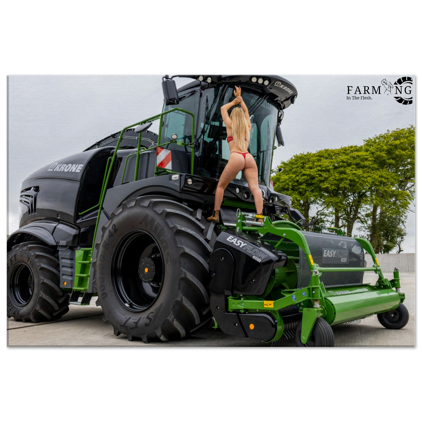 Krone Forager Canvas