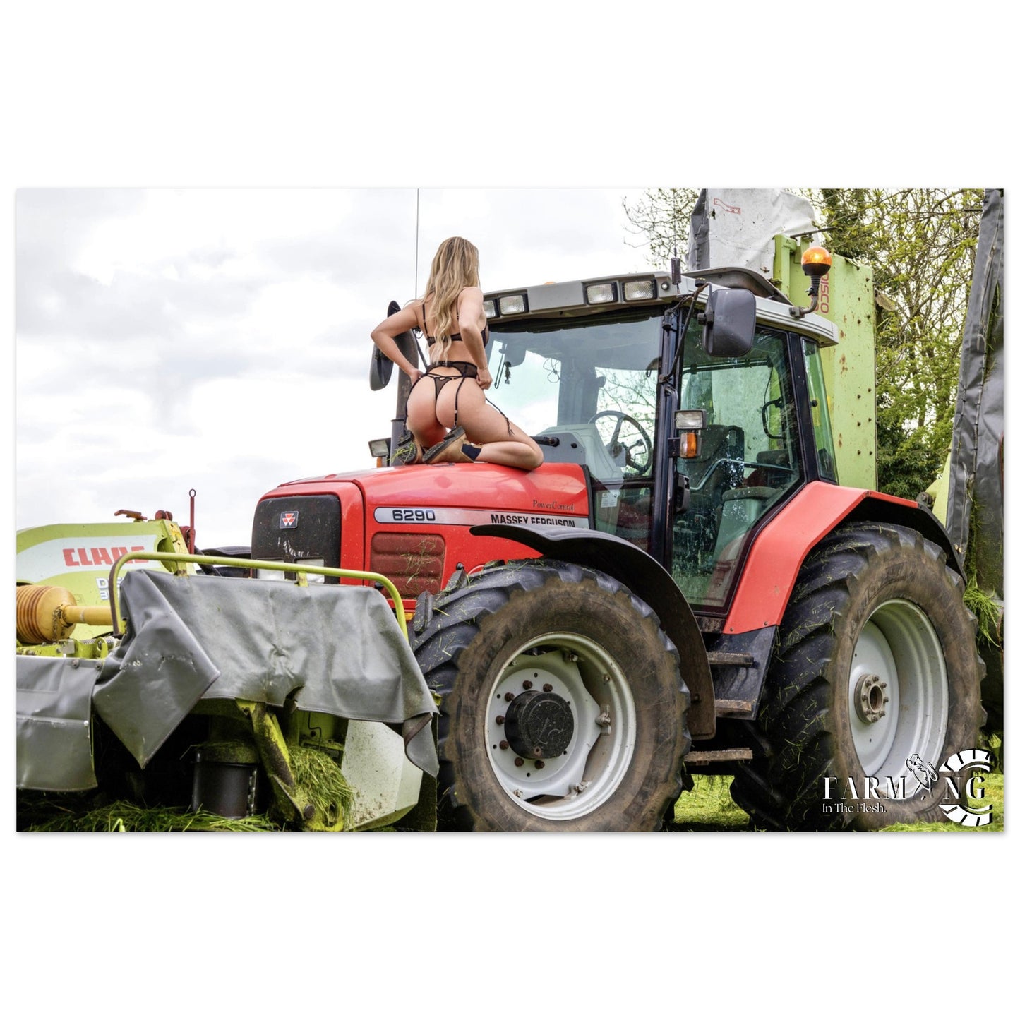 Massey Ferguson 6290 Classic Poster