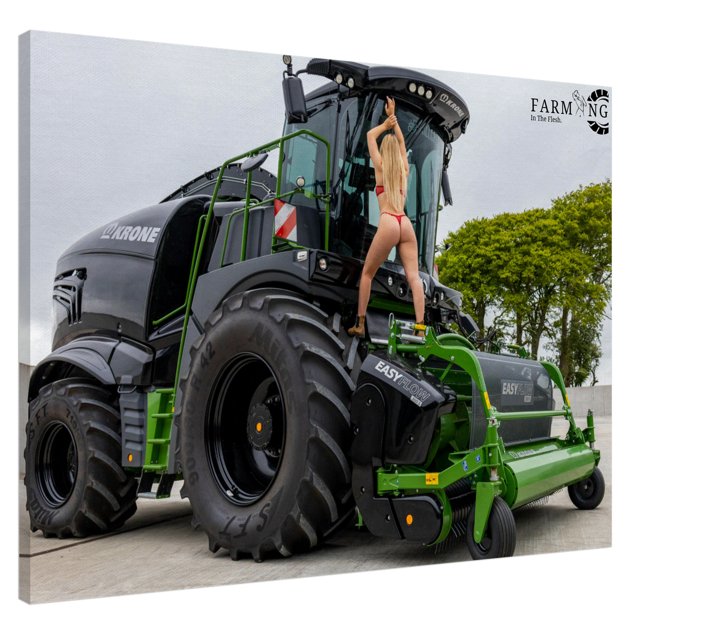 Krone Forager Canvas