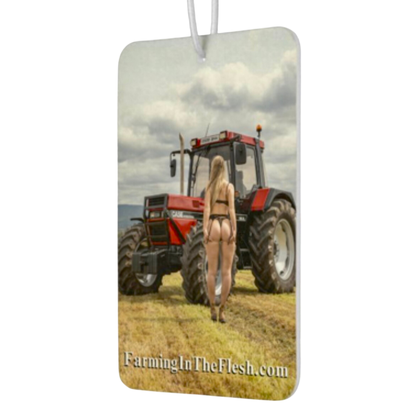 Sexy Classic Case Air Freshener