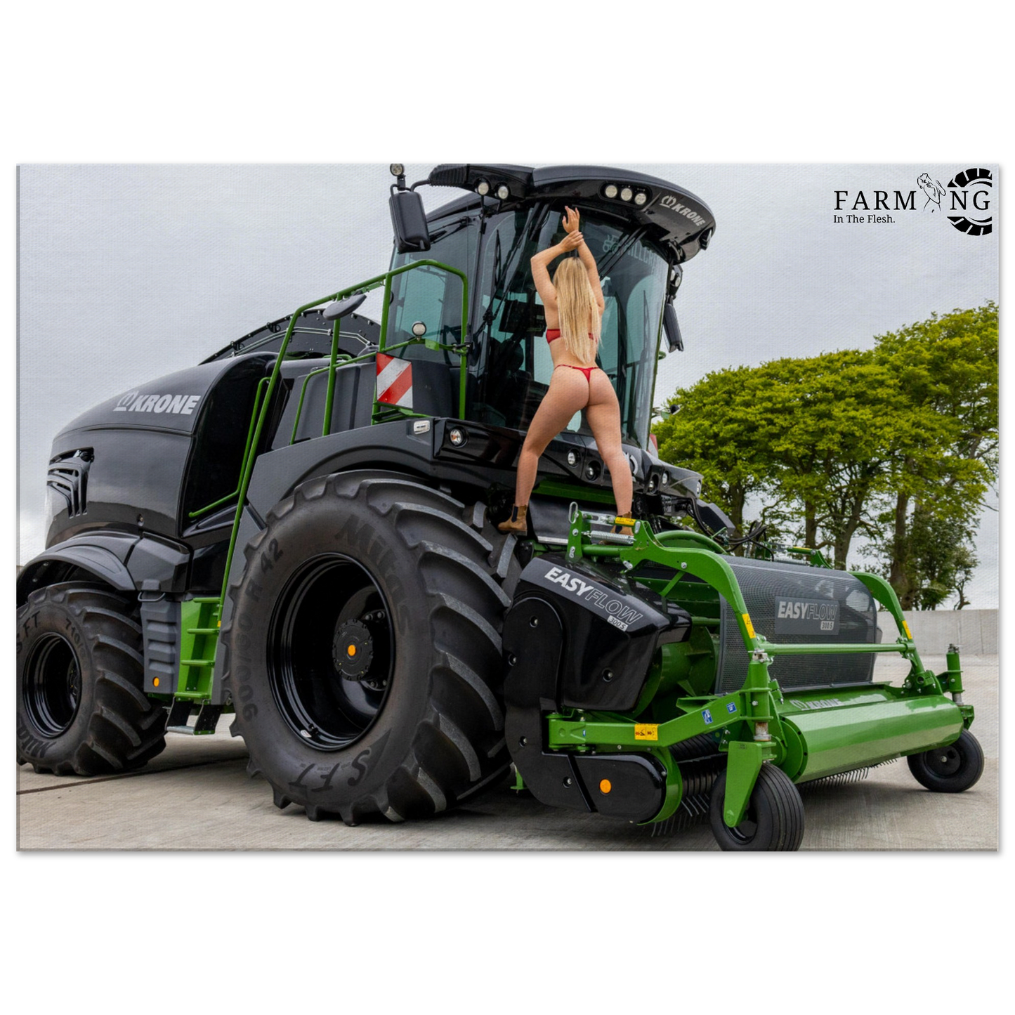 Krone Forager Canvas
