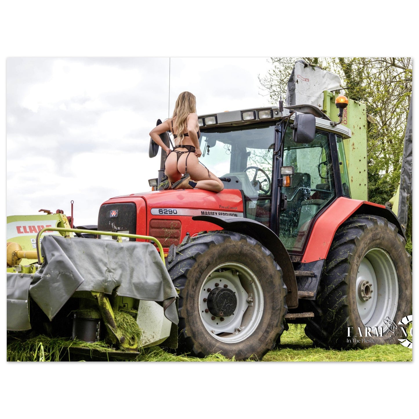 Massey Ferguson 6290 Classic Poster