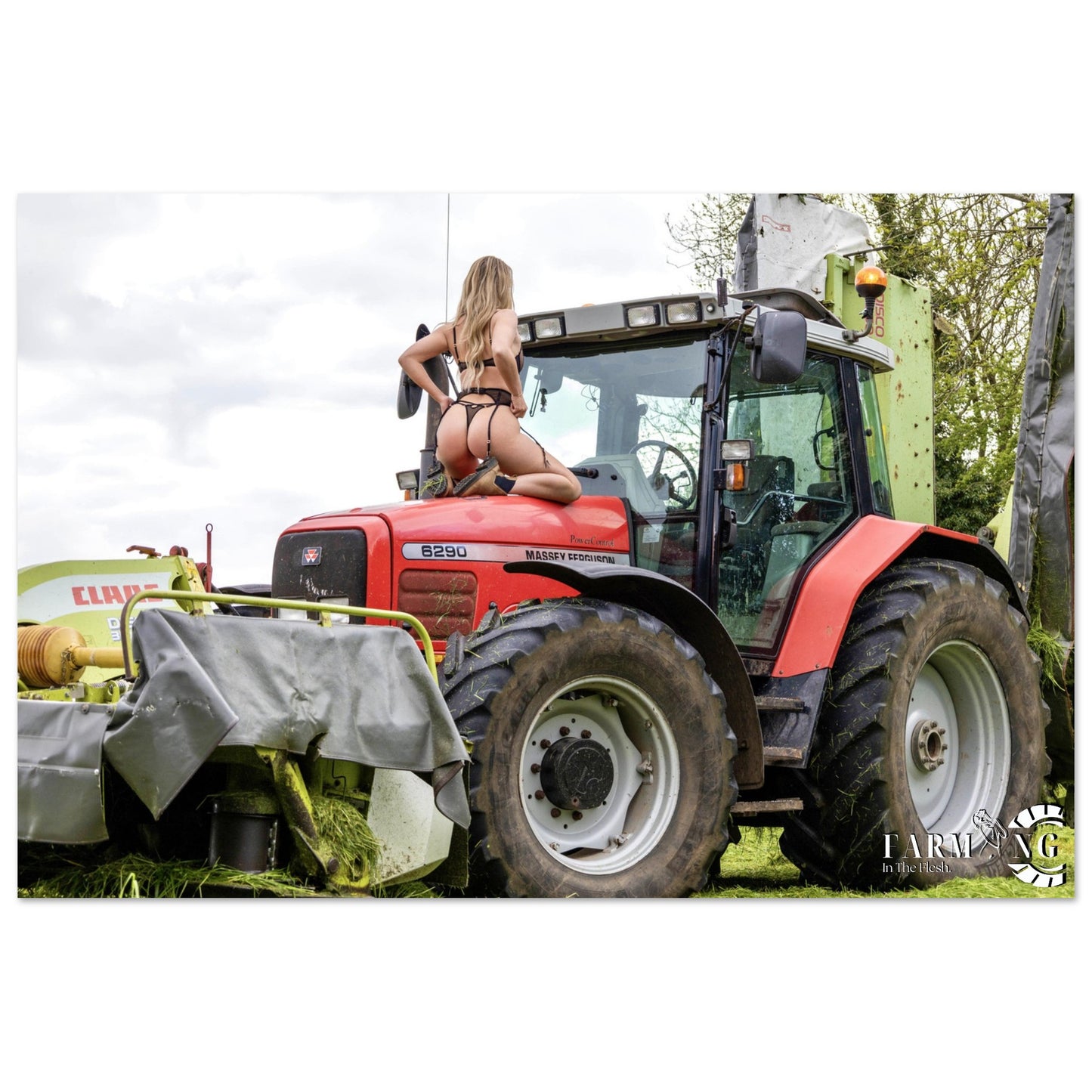 Massey Ferguson 6290 Classic Poster