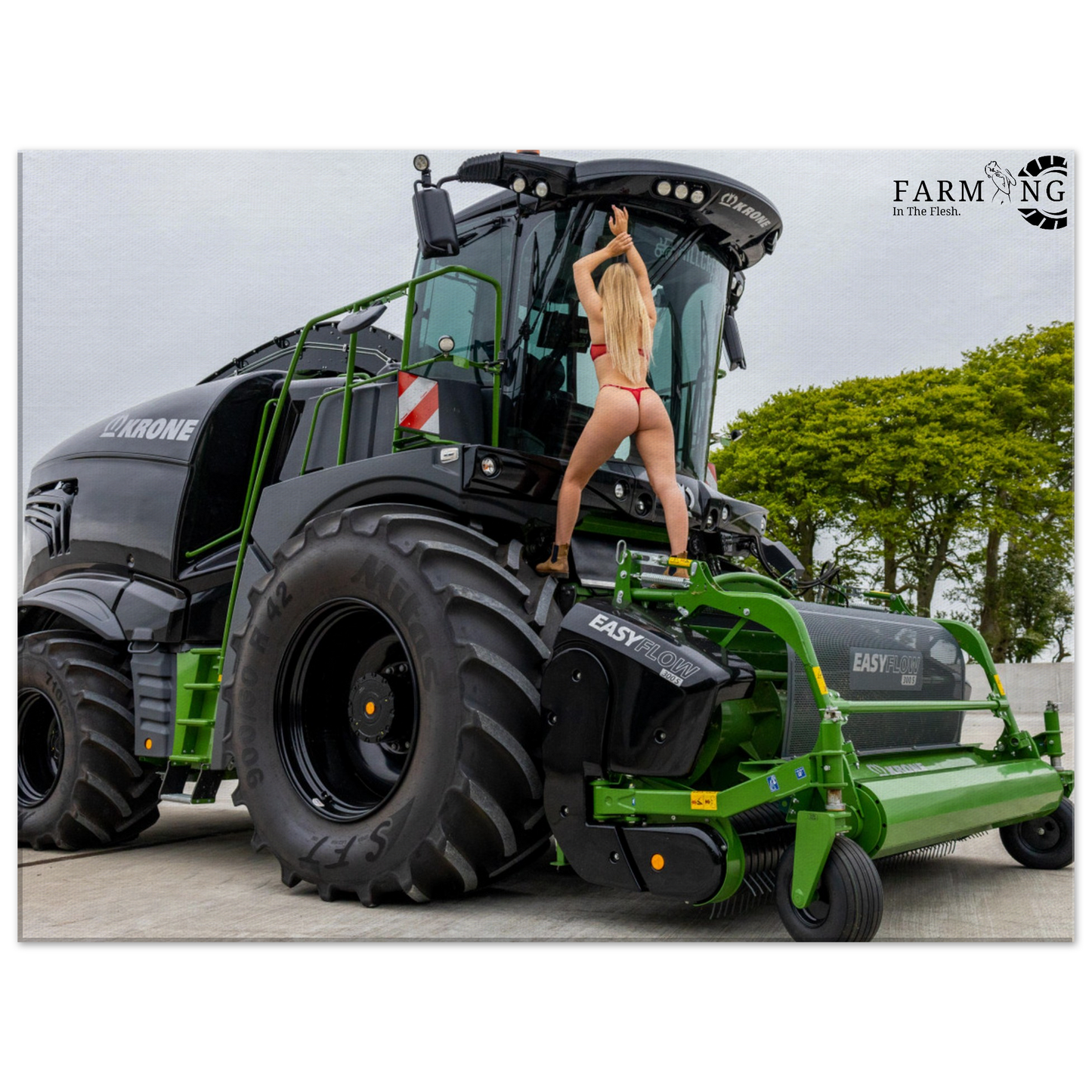 Krone Forager Canvas