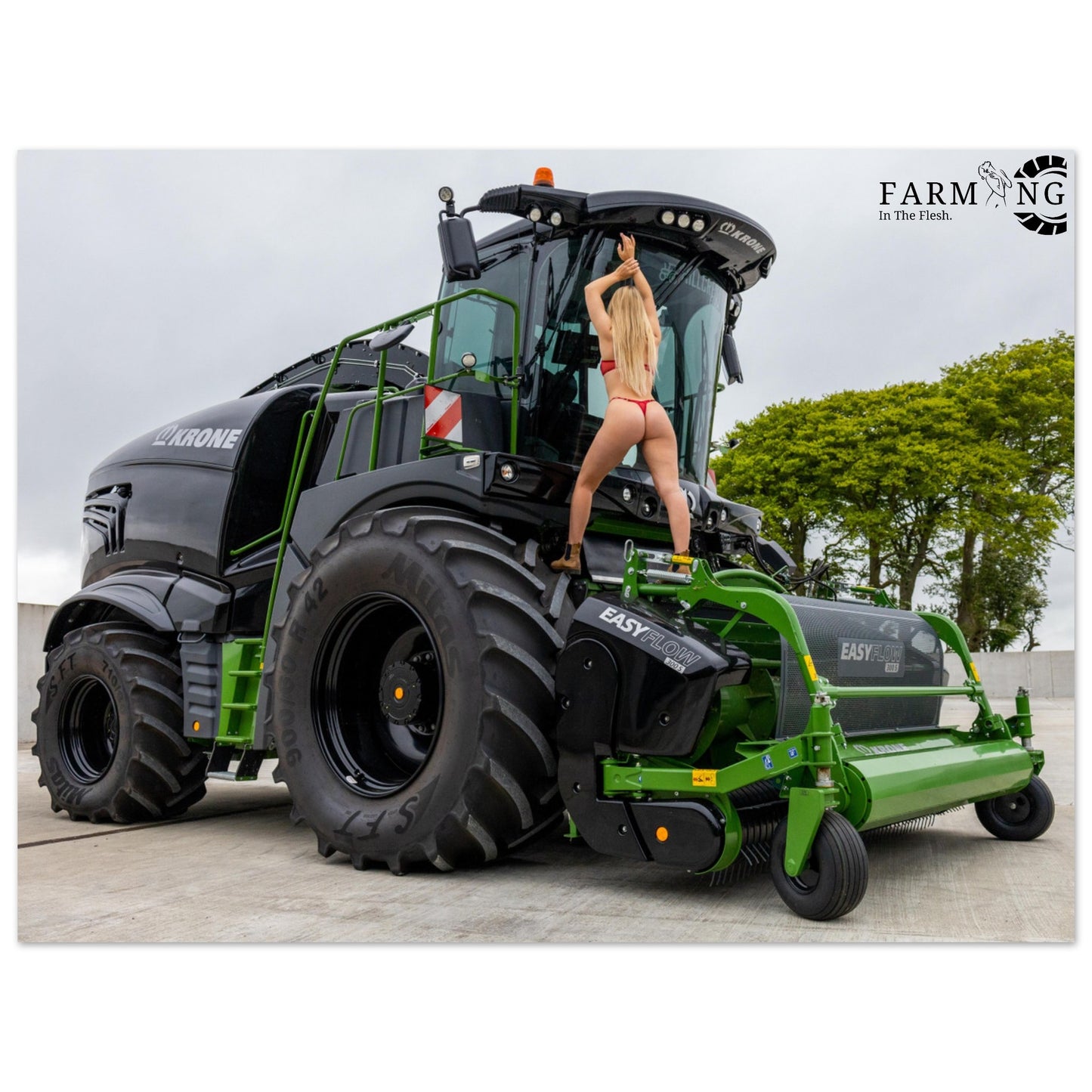 Krone Forager Poster