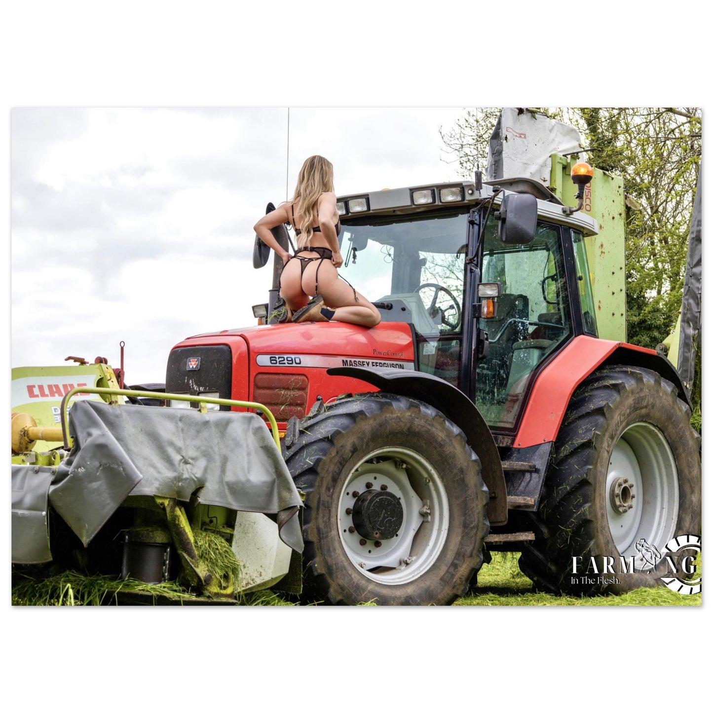 Massey Ferguson 6290 Classic Poster