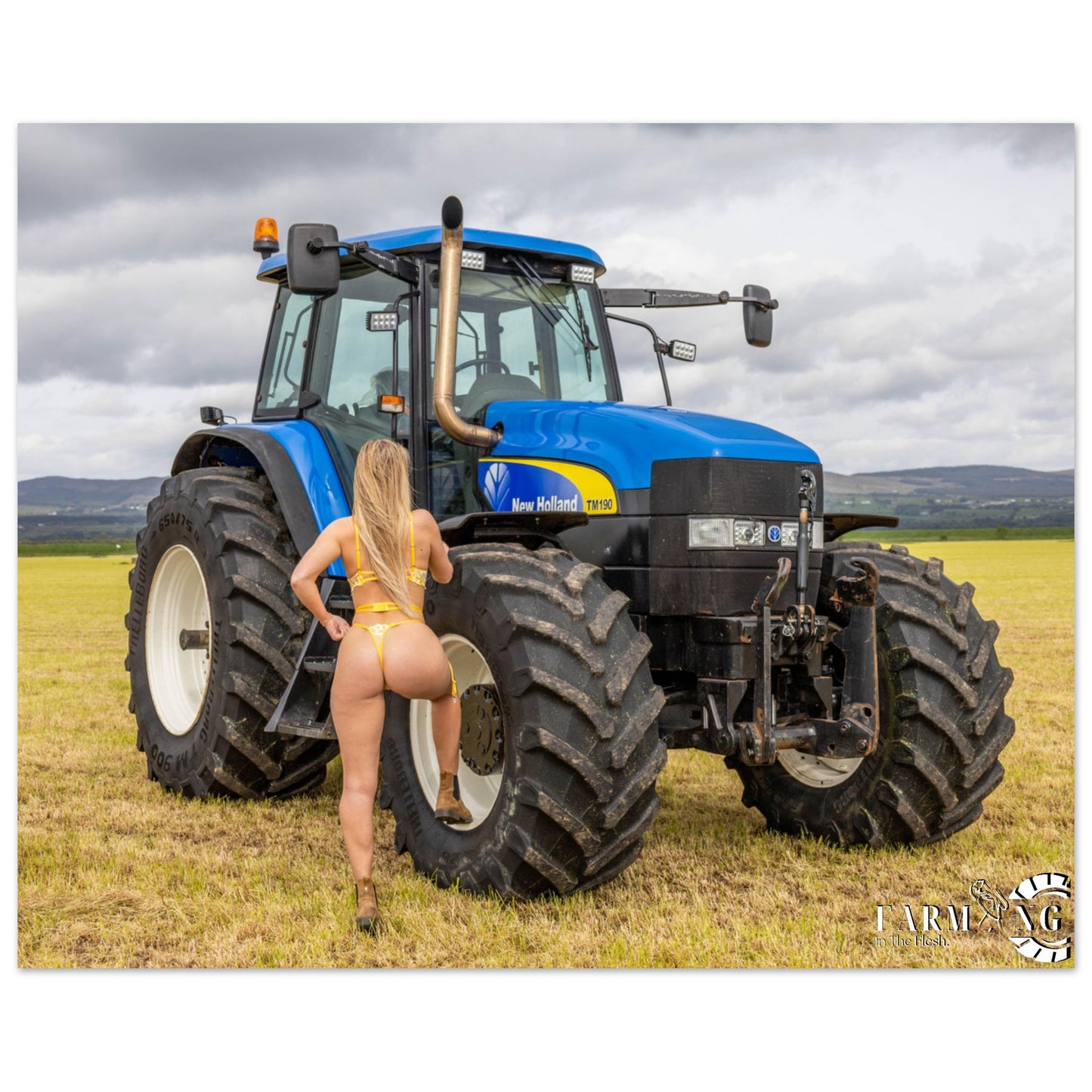 New Holland TM190 Classic Poster