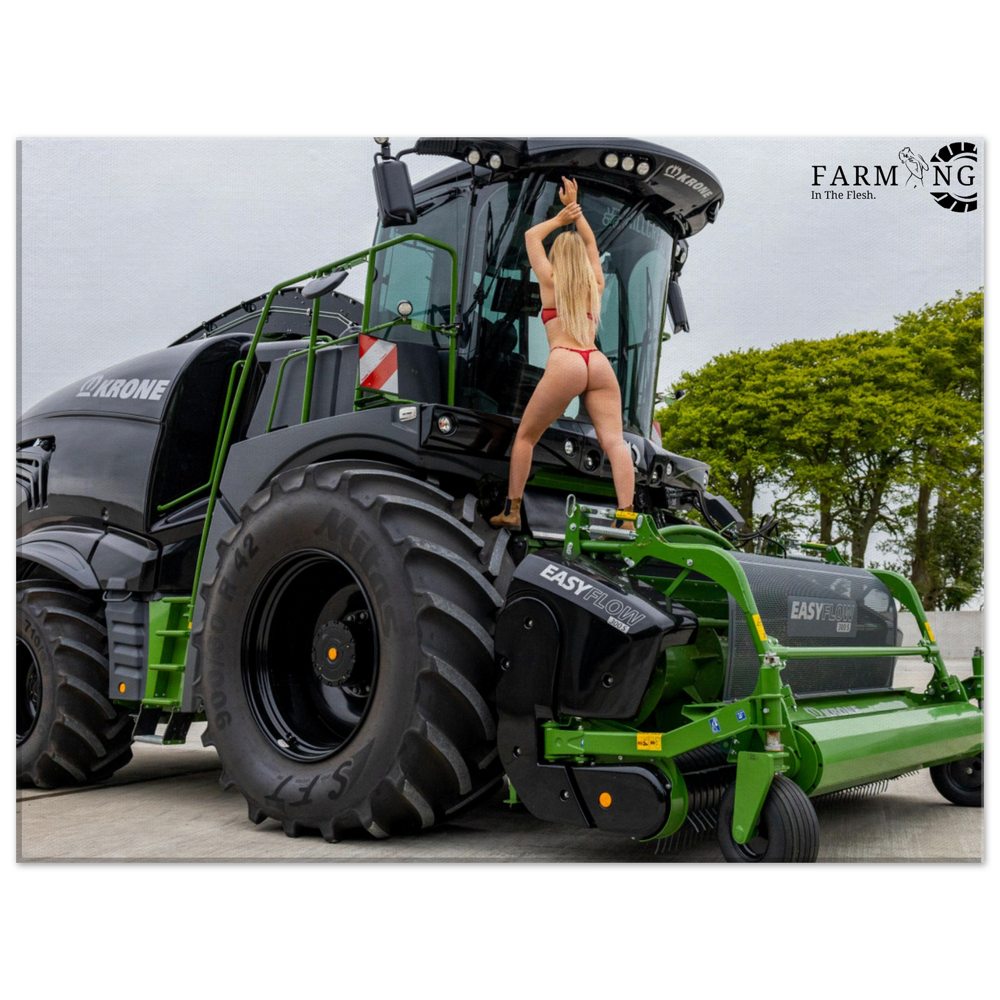 Krone Forager Canvas