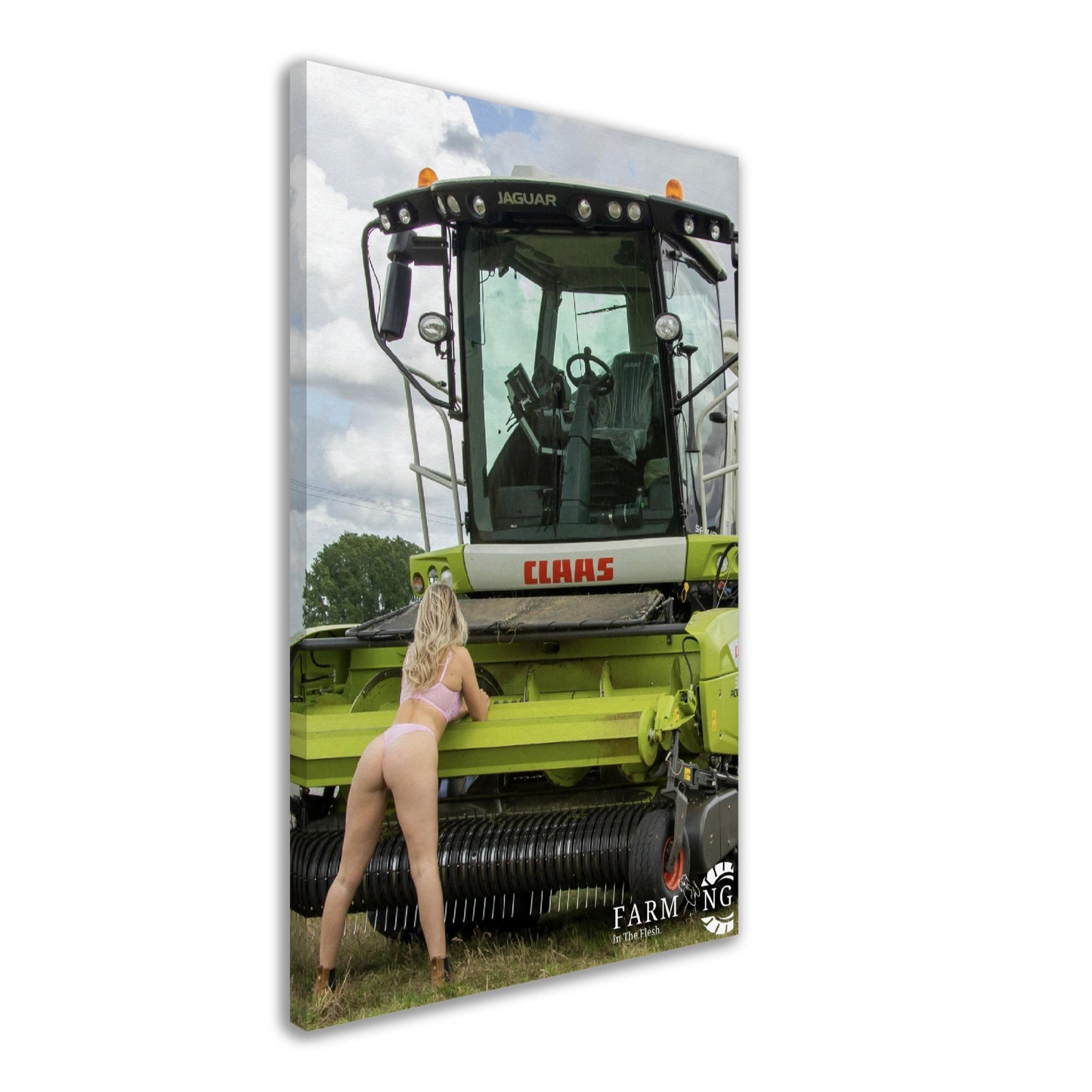 Claas Forager Canvas