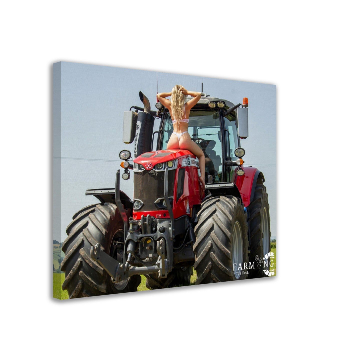 Massey Ferguson Canvas