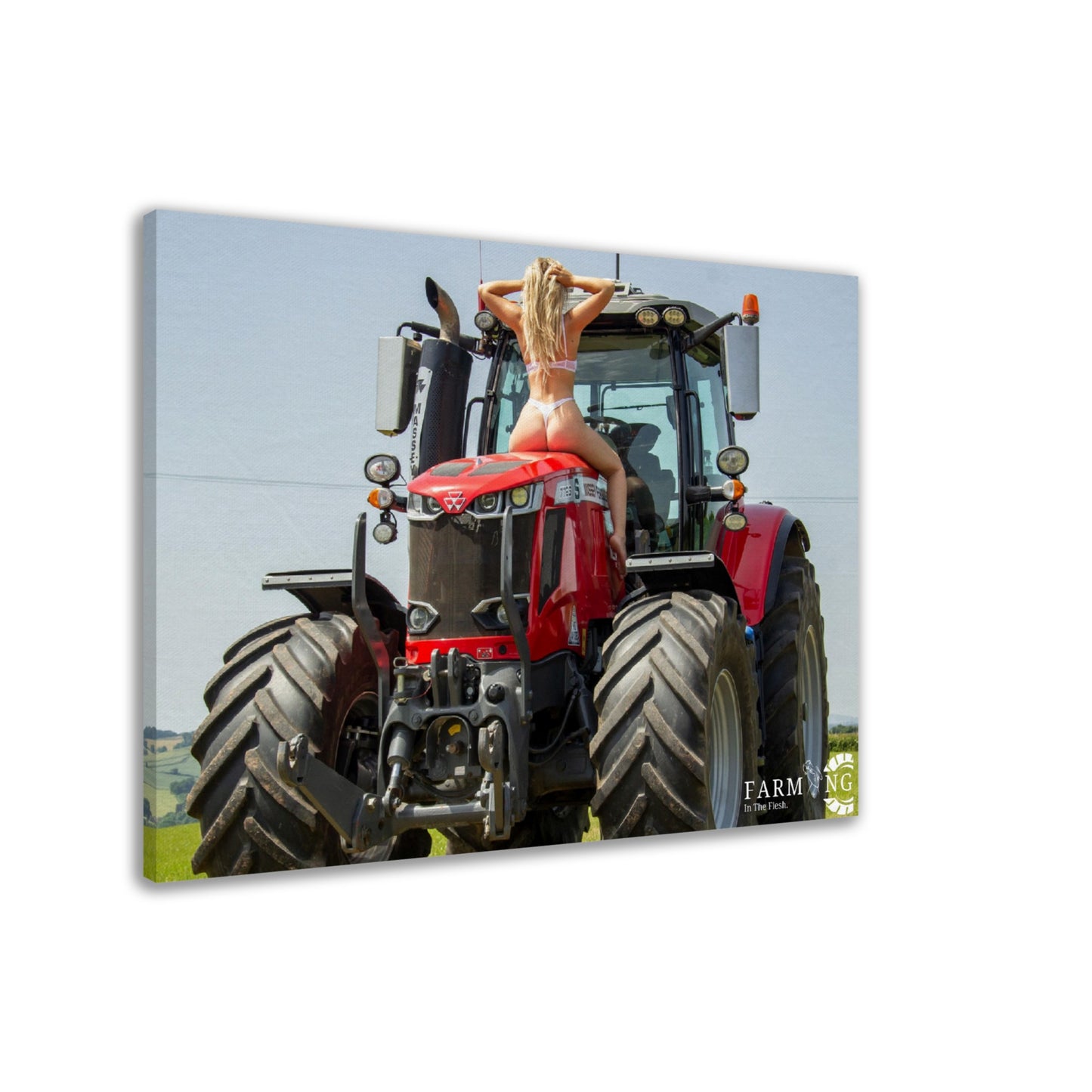 Massey Ferguson Canvas