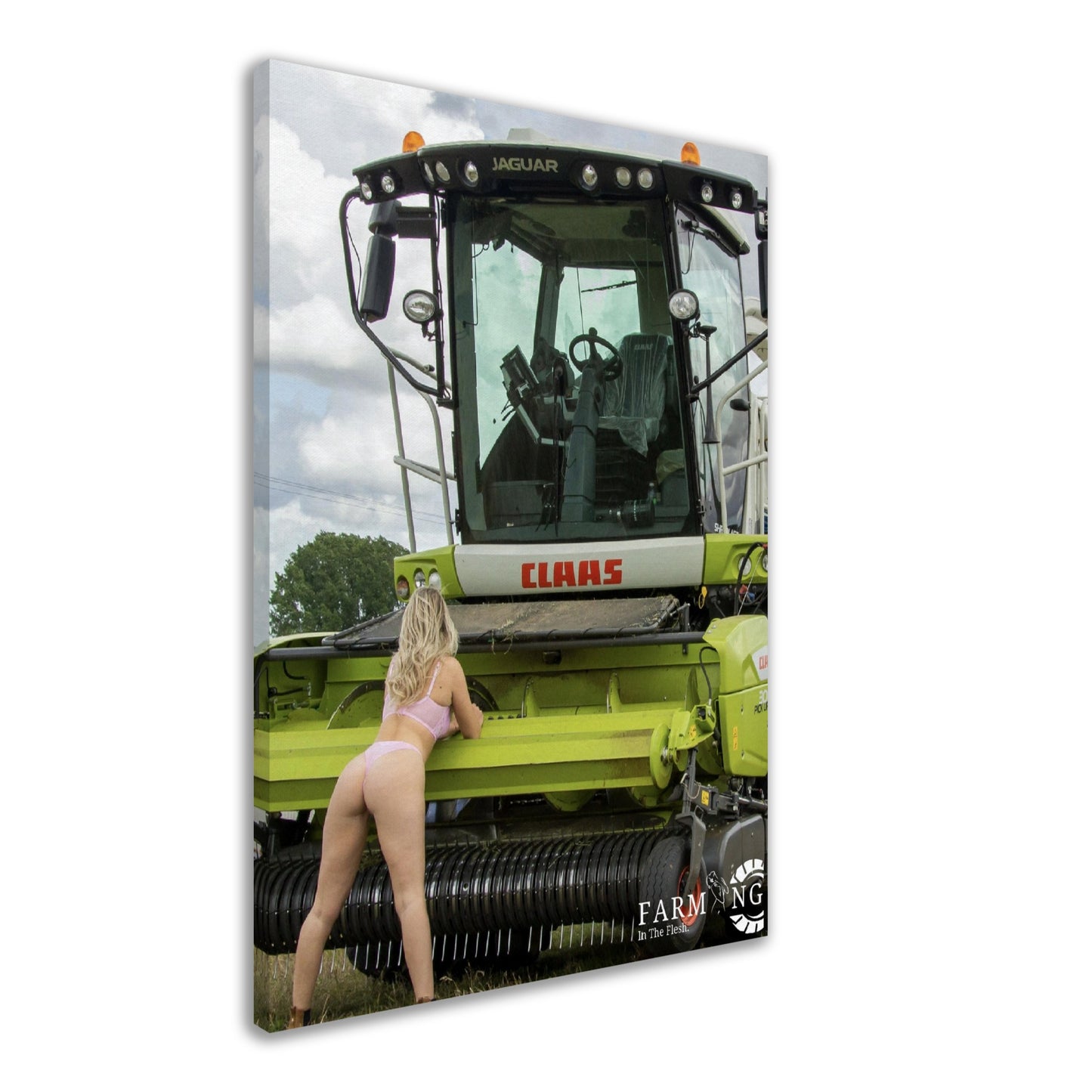 Claas Forager Canvas