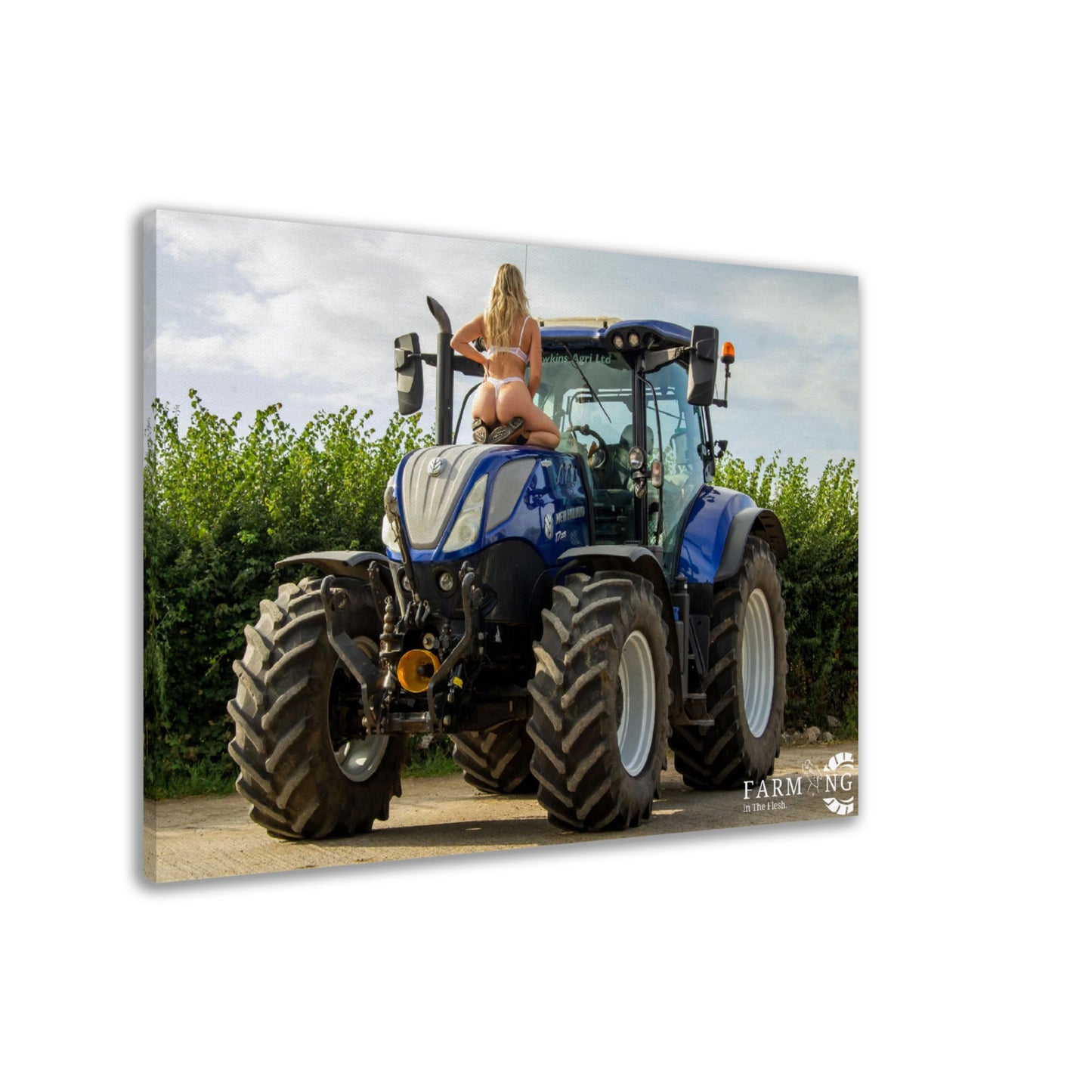 New Holland Canvas