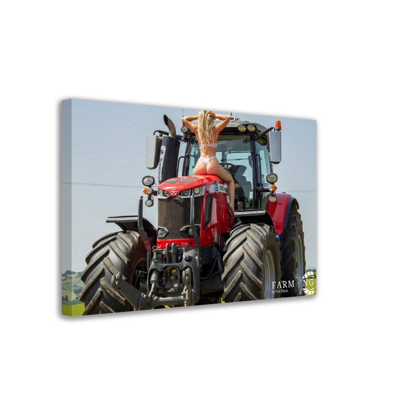 Massey Ferguson Canvas