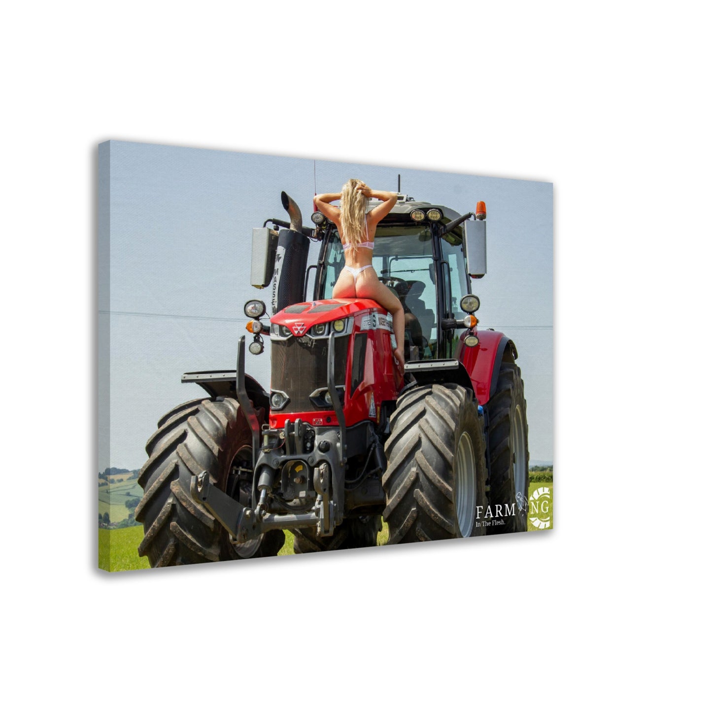 Massey Ferguson Canvas