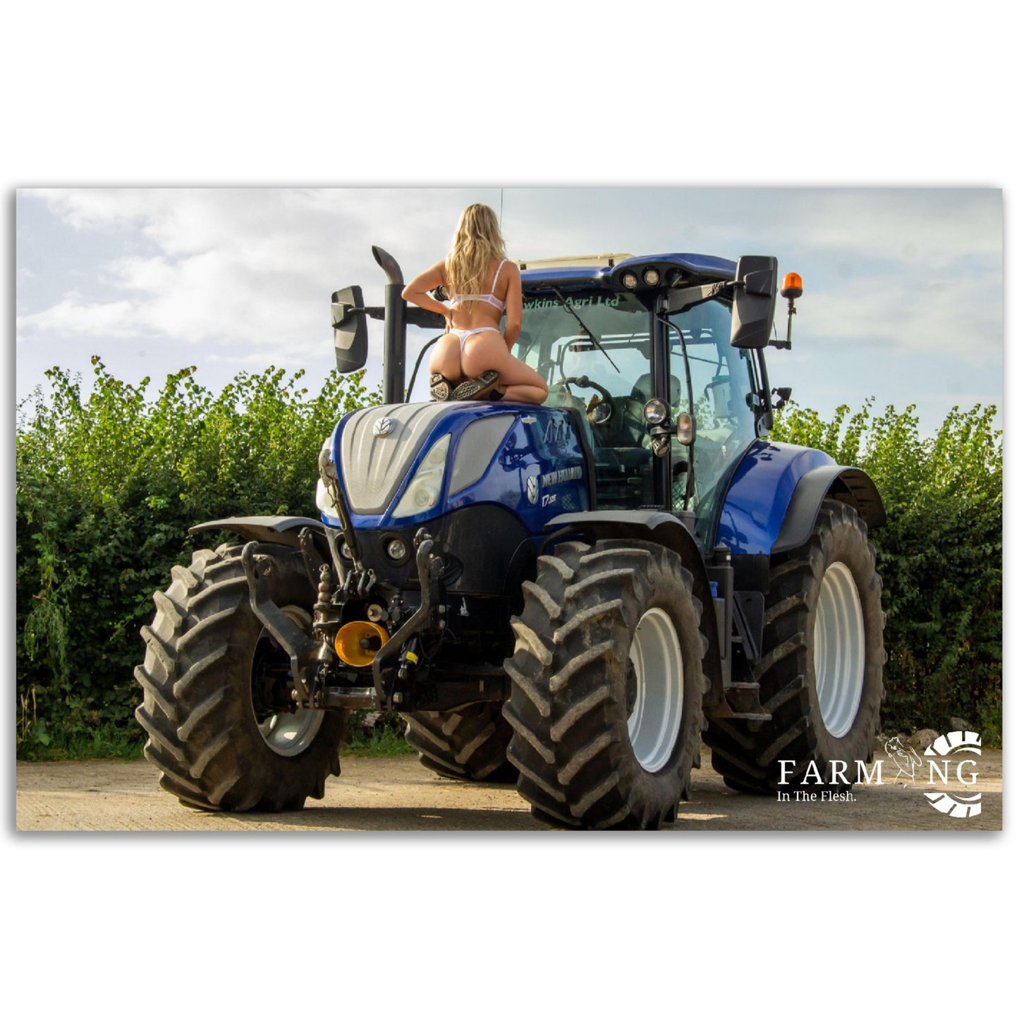 New Holland Poster