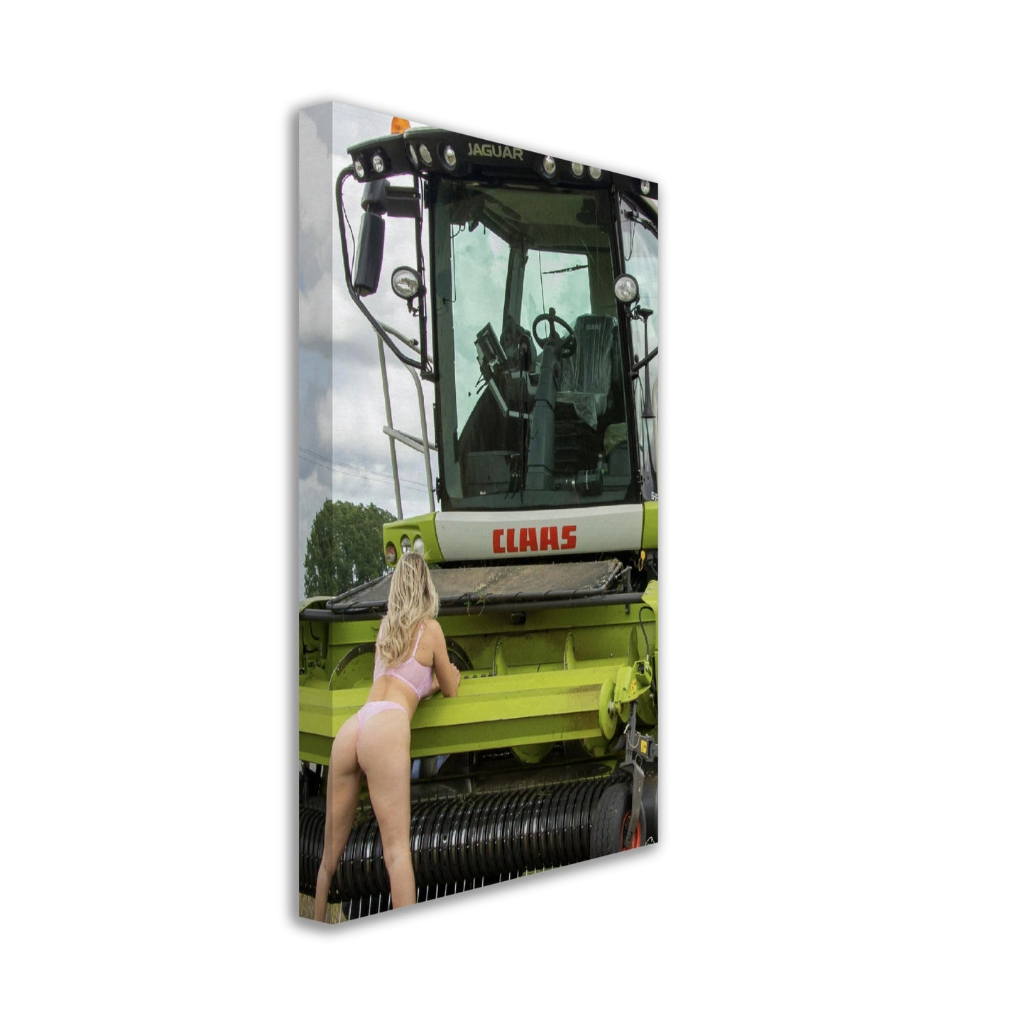 Claas Forager Canvas