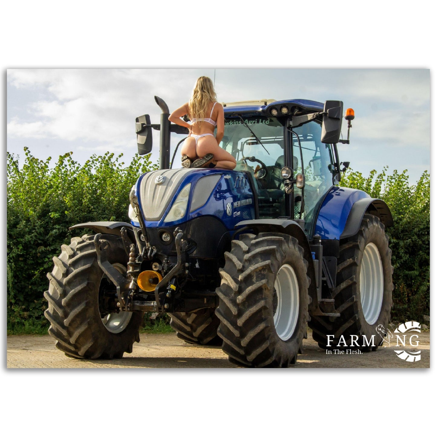 New Holland Poster