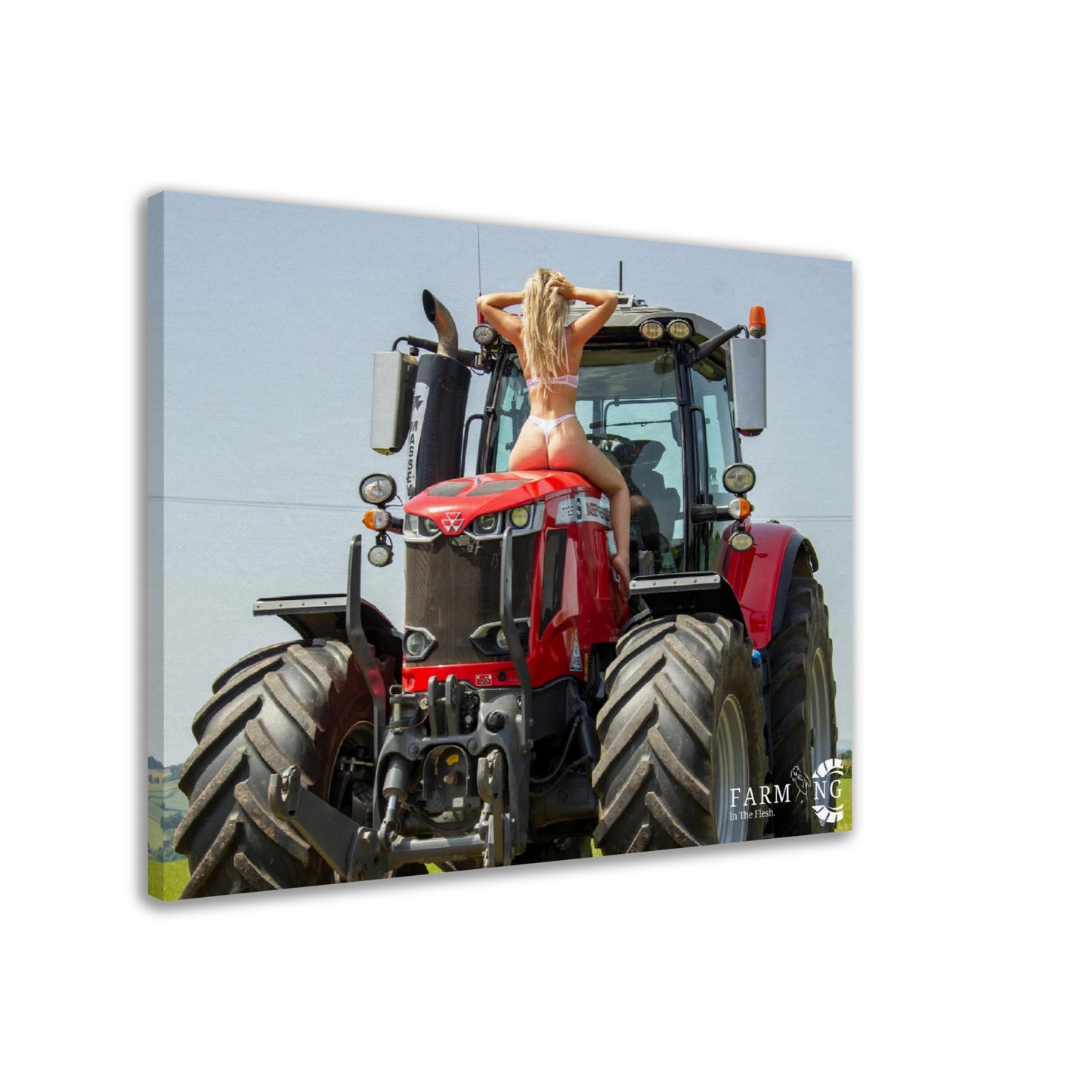 Massey Ferguson Canvas