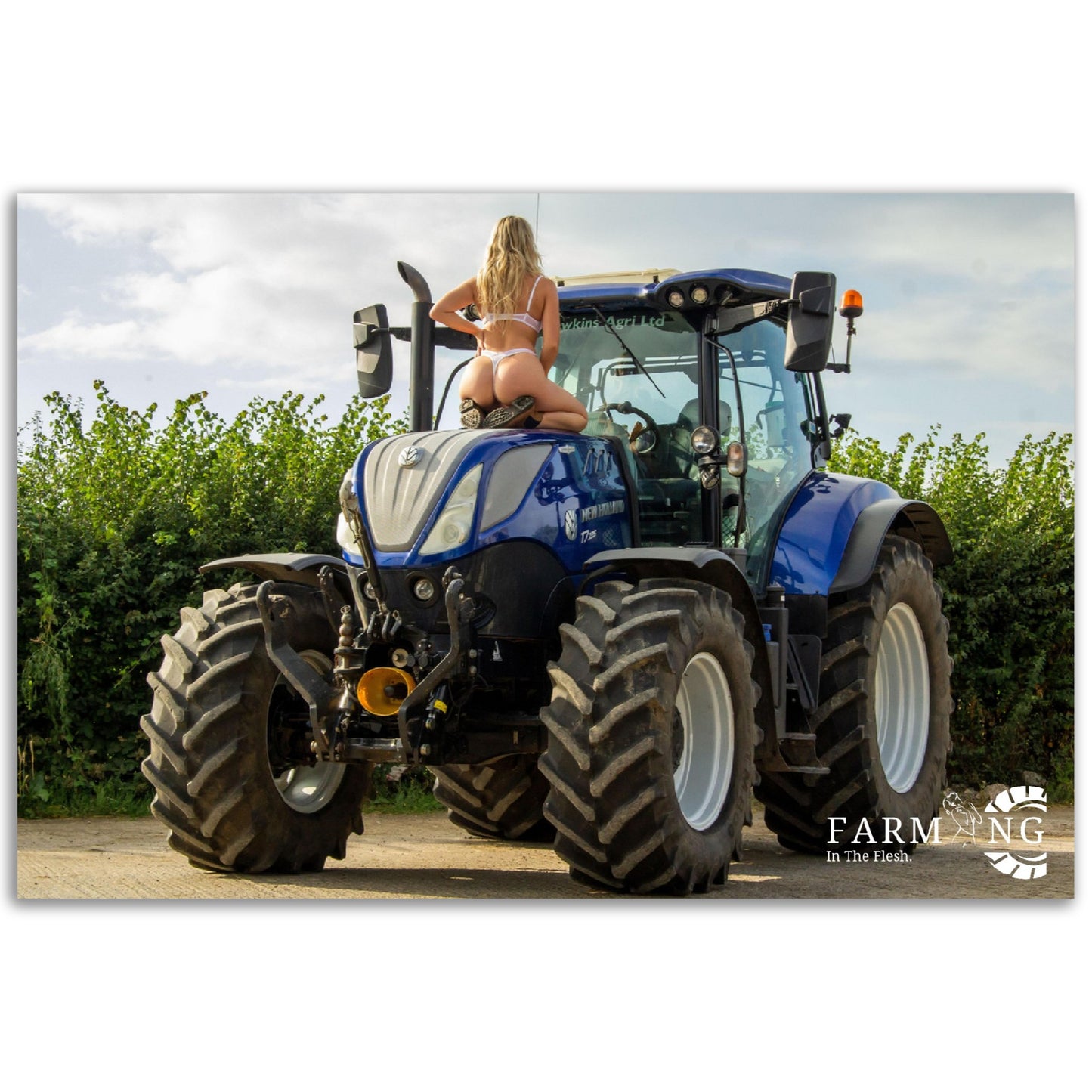 New Holland Poster