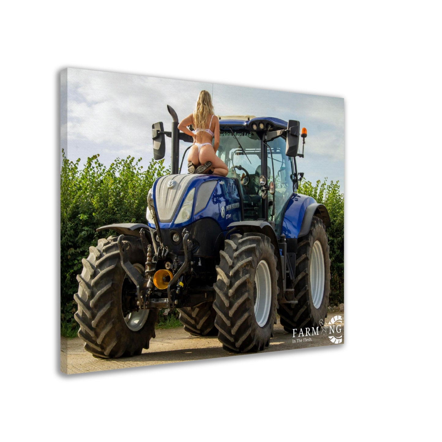New Holland Canvas
