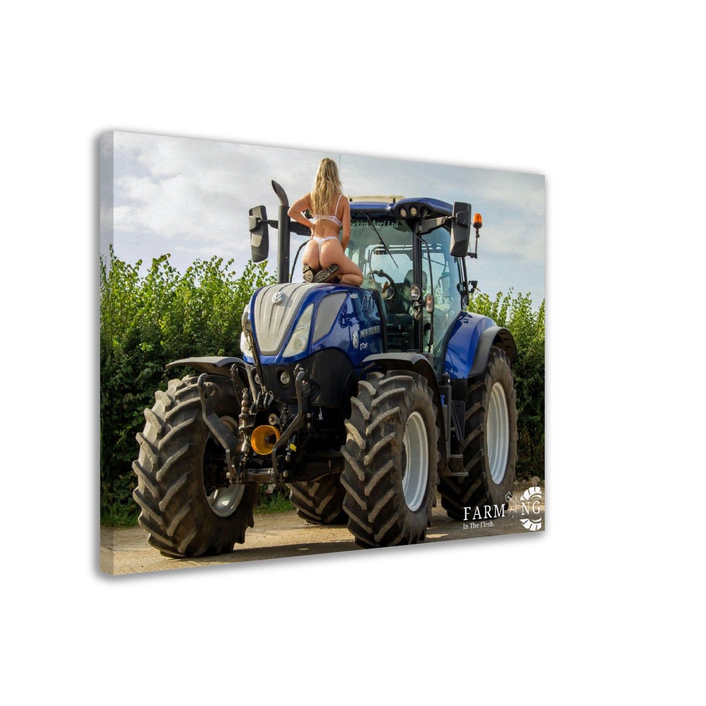 New Holland Canvas