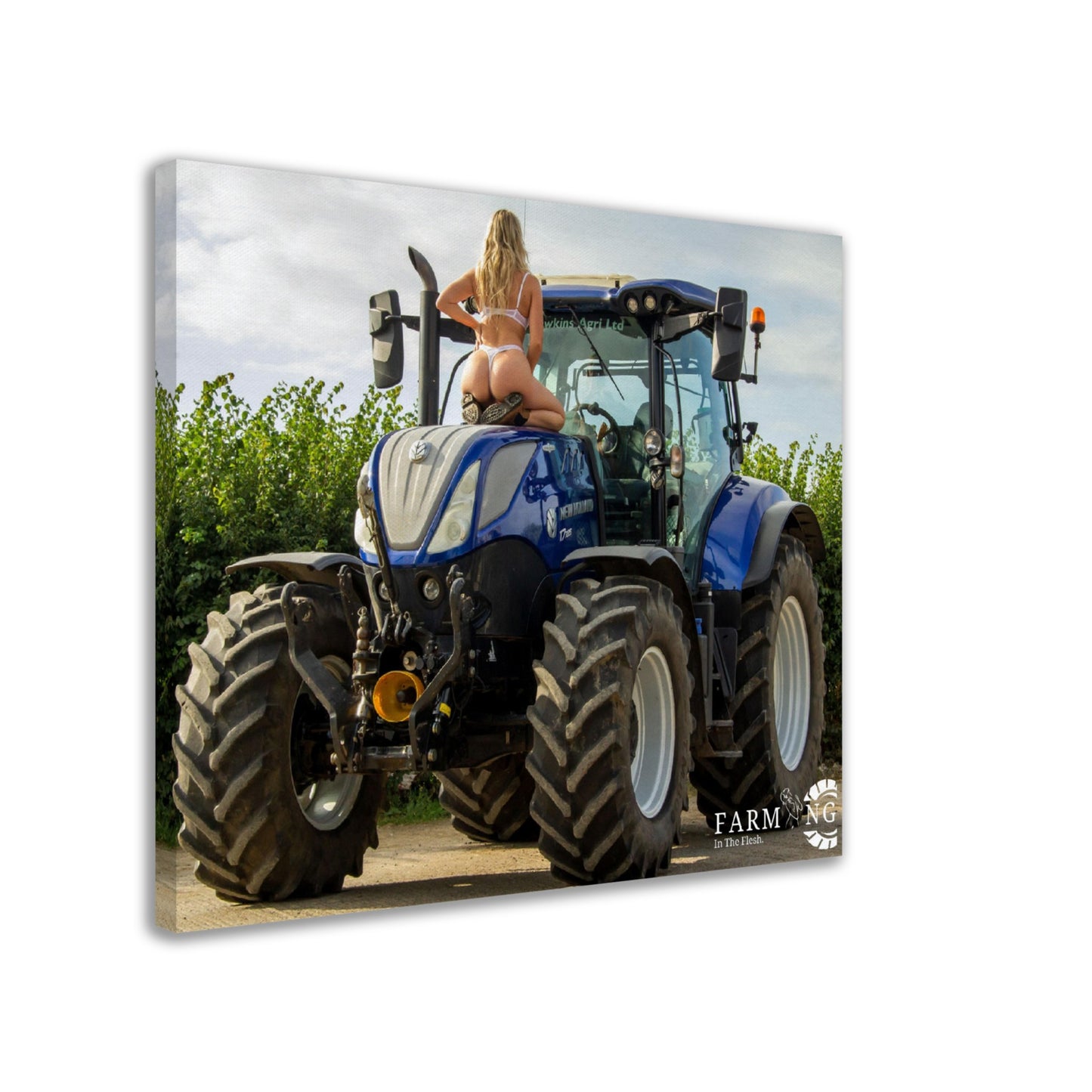 New Holland Canvas