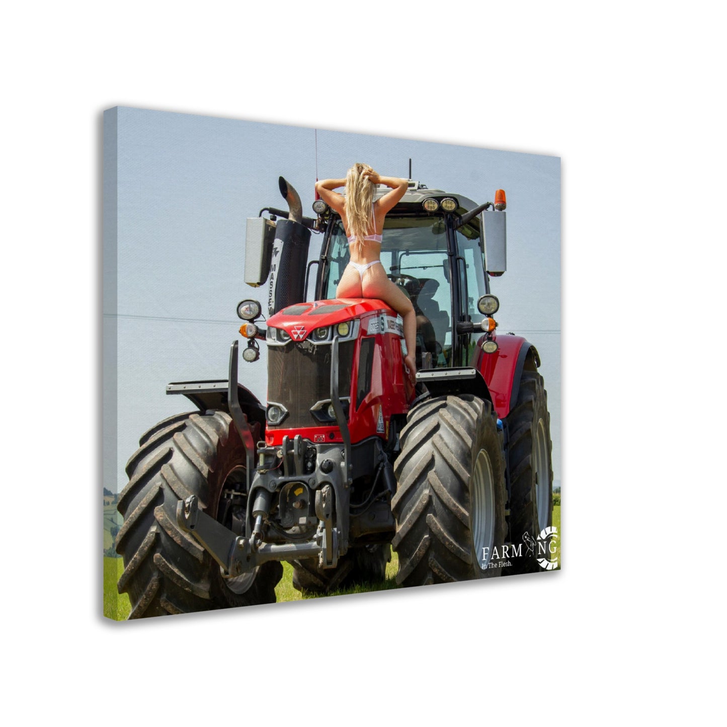 Massey Ferguson Canvas