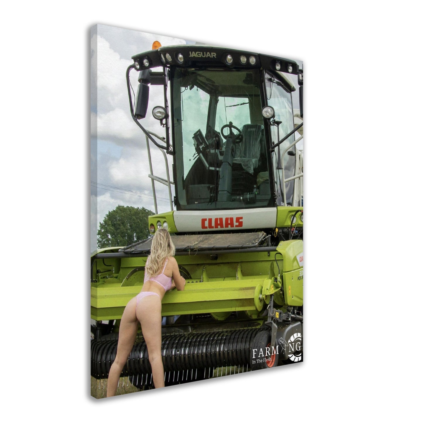 Claas Forager Canvas