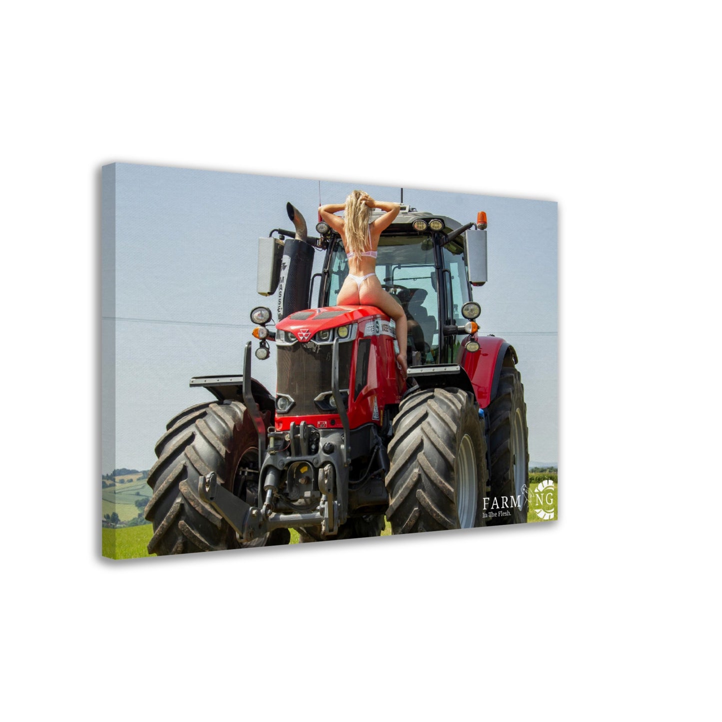 Massey Ferguson Canvas