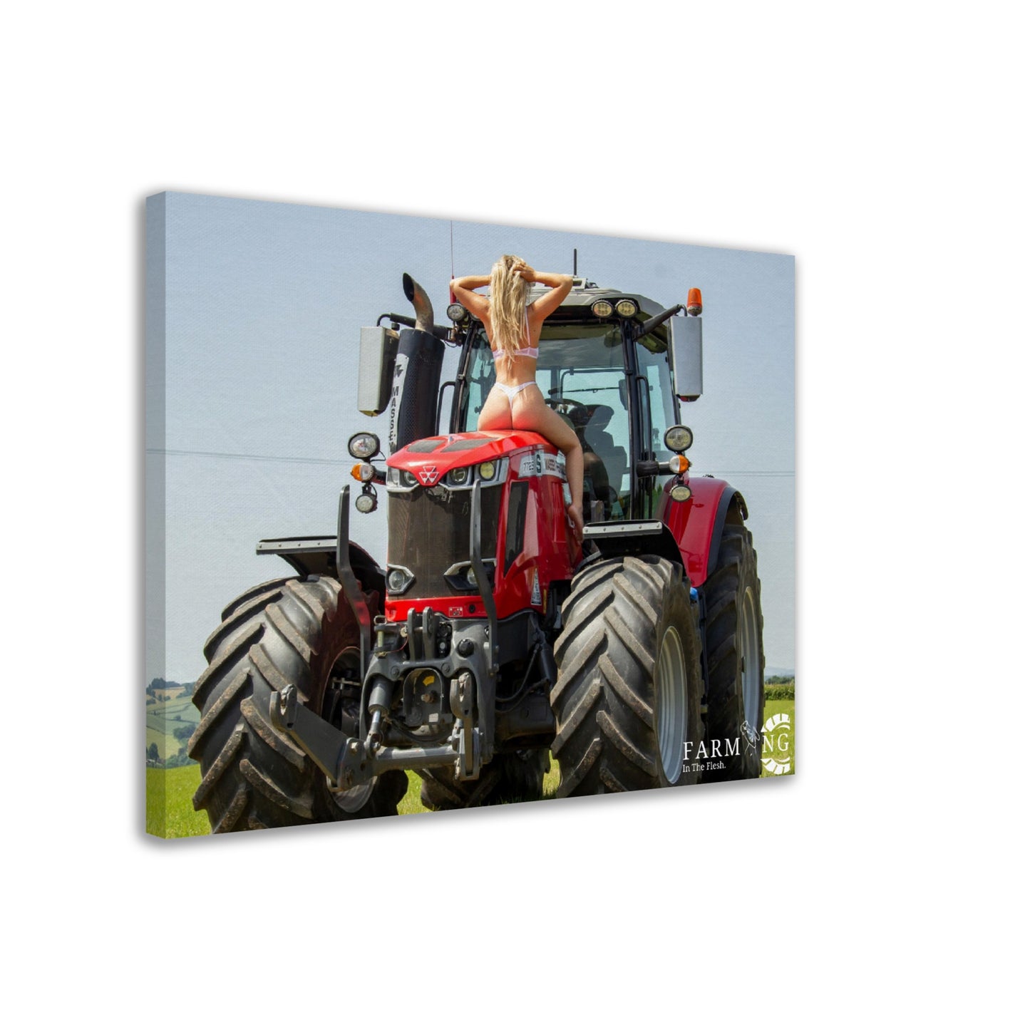 Massey Ferguson Canvas