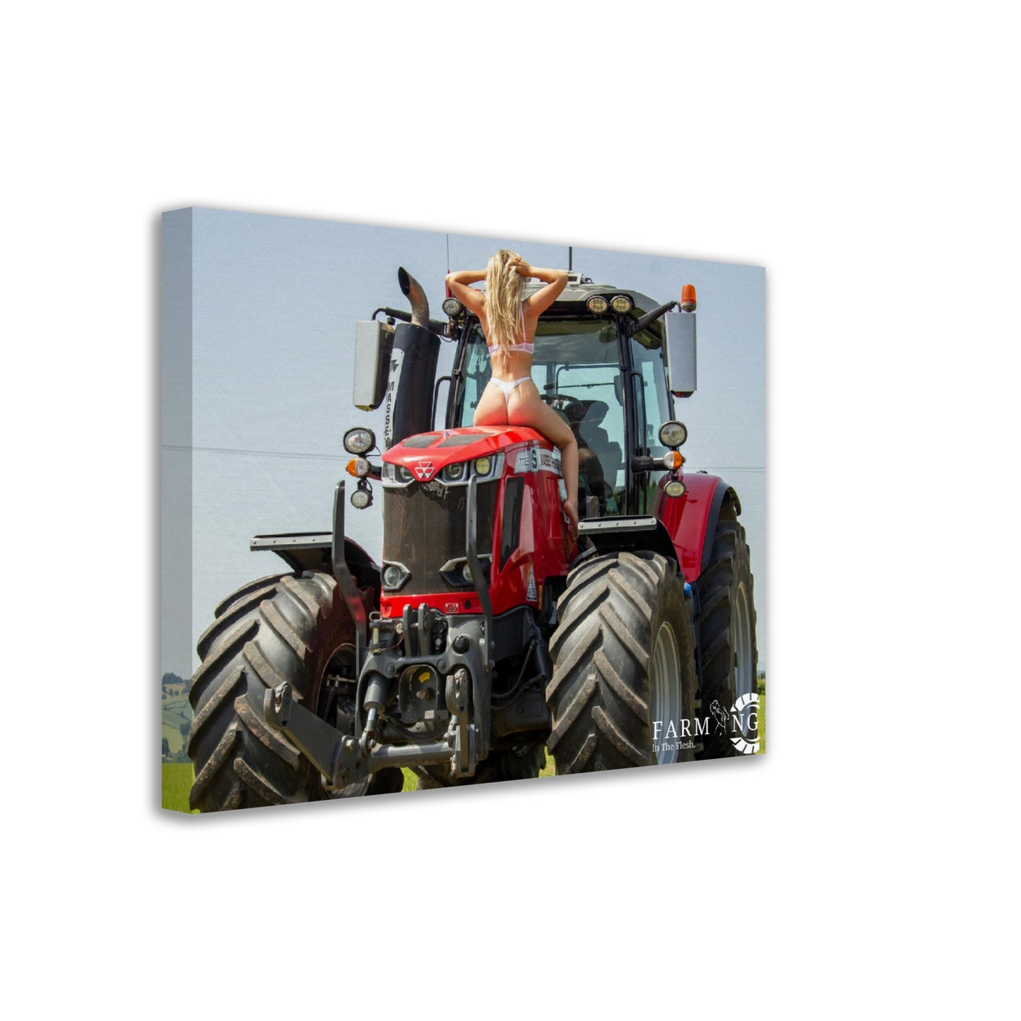 Massey Ferguson Canvas