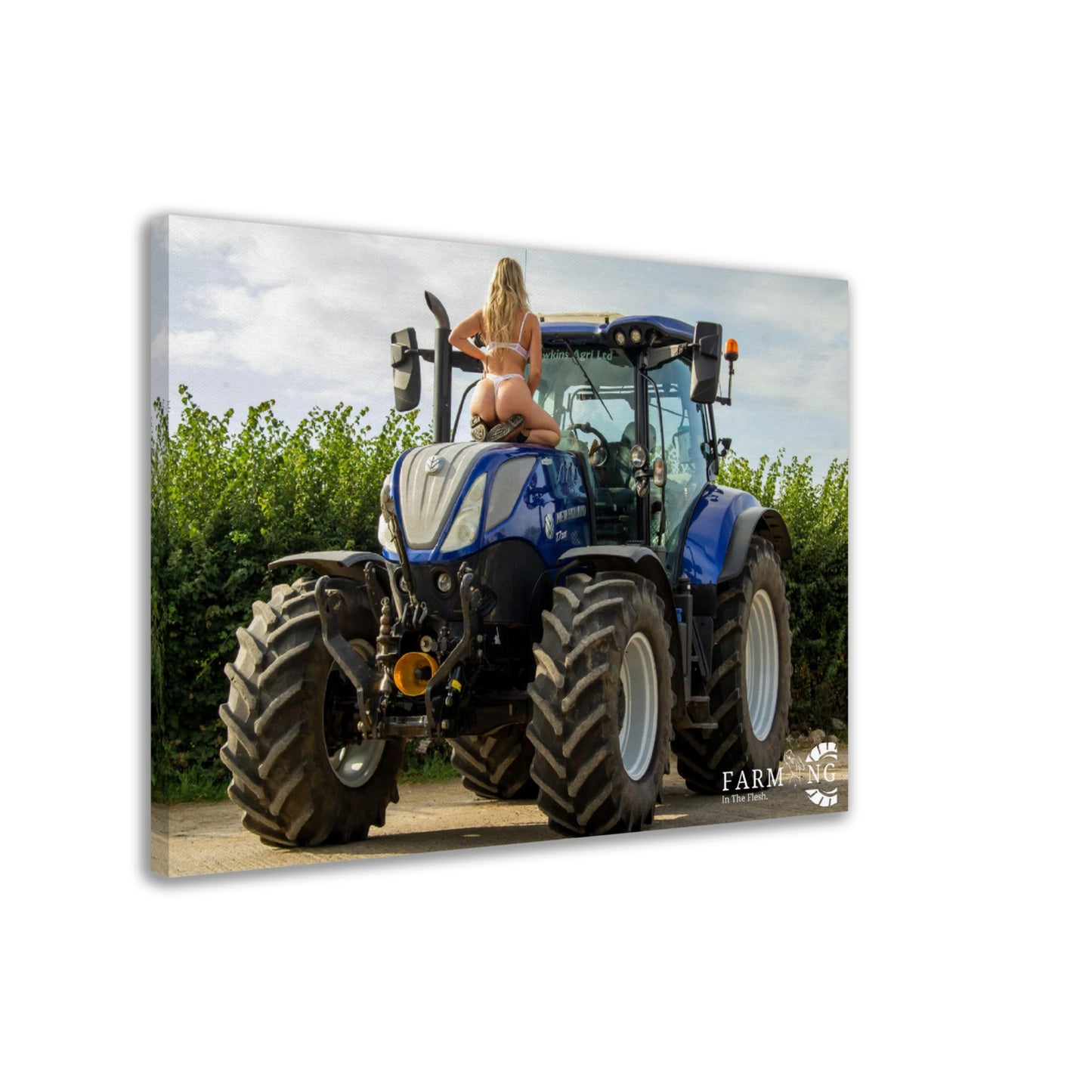 New Holland Canvas