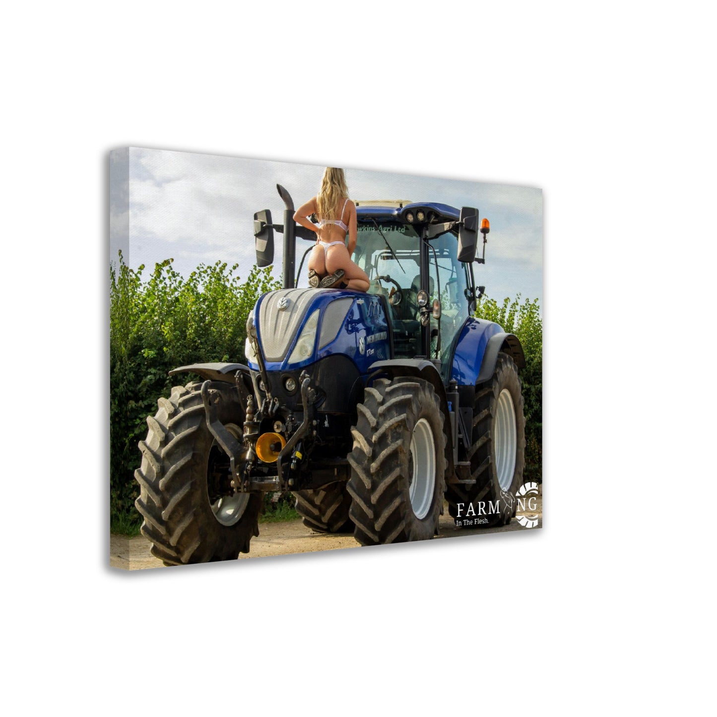 New Holland Canvas