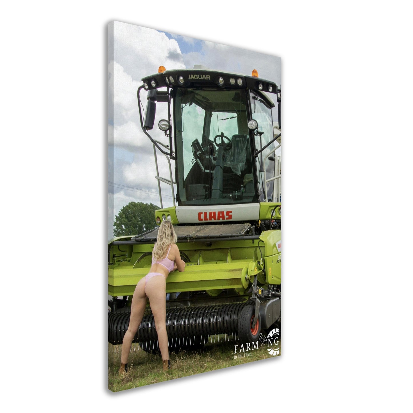 Claas Forager Canvas