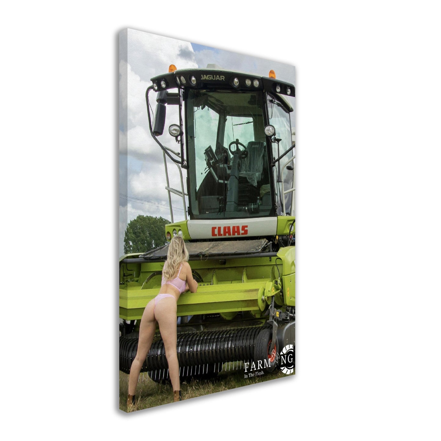 Claas Forager Canvas