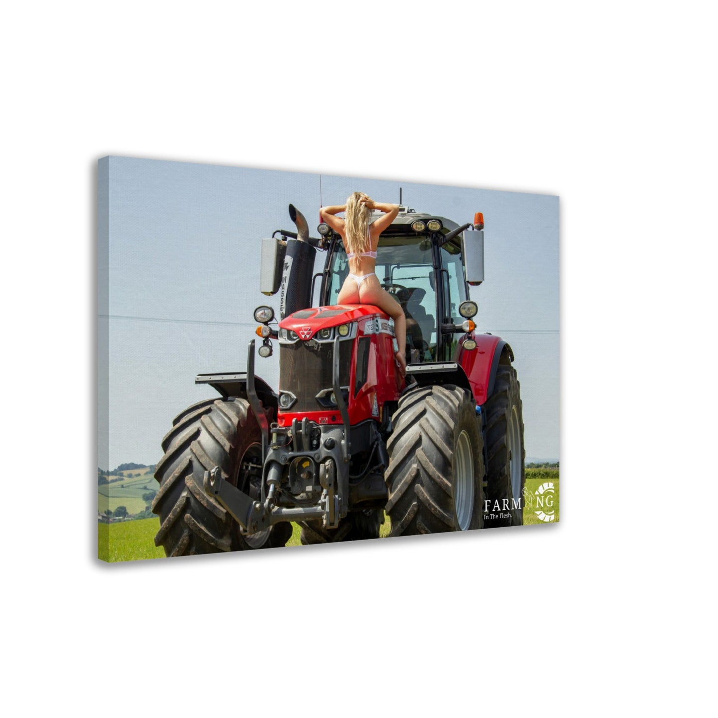 Massey Ferguson Canvas
