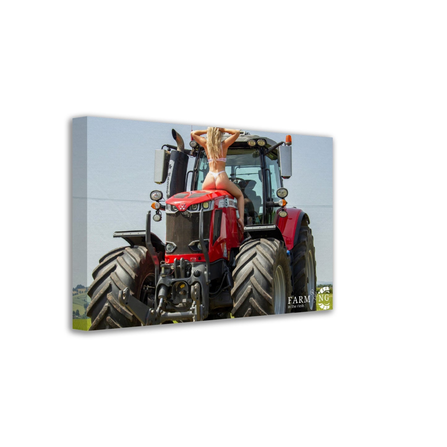 Massey Ferguson Canvas