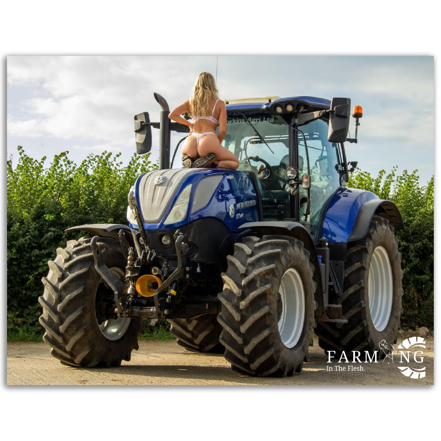 New Holland Poster