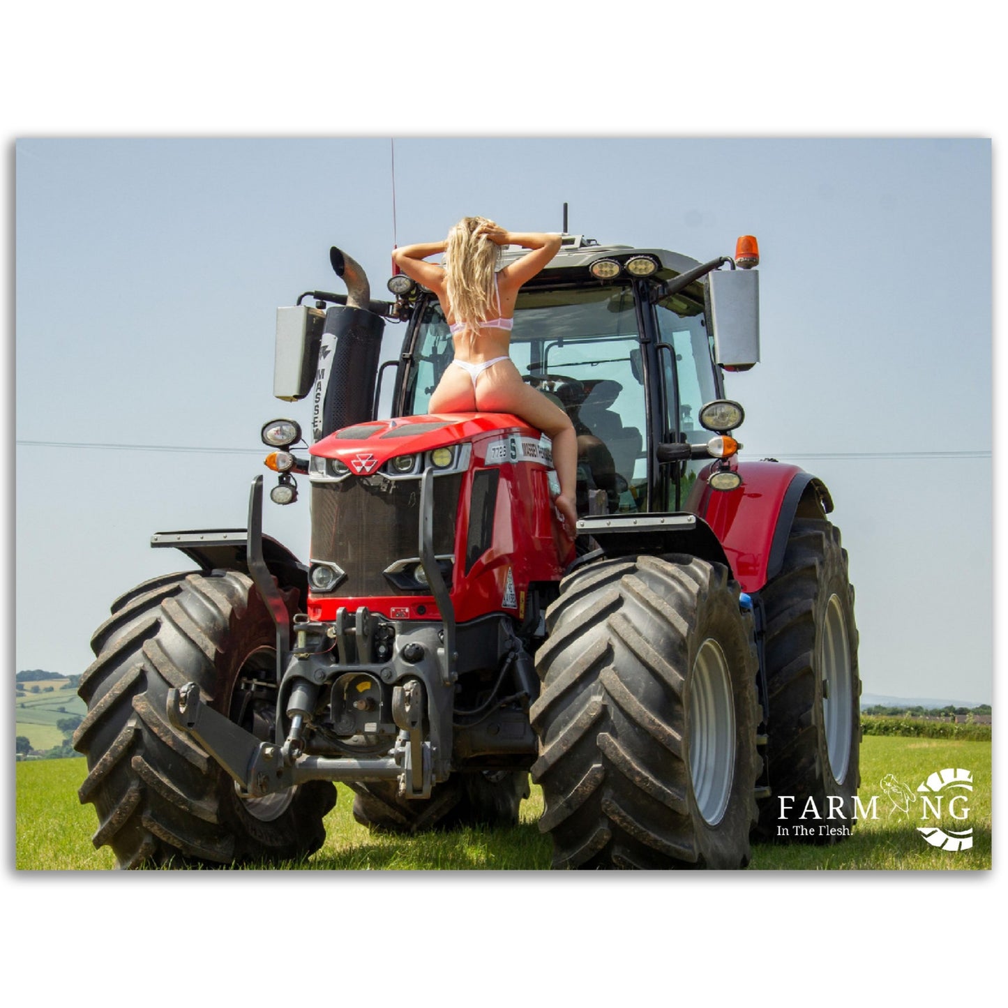Massey Ferguson Poster