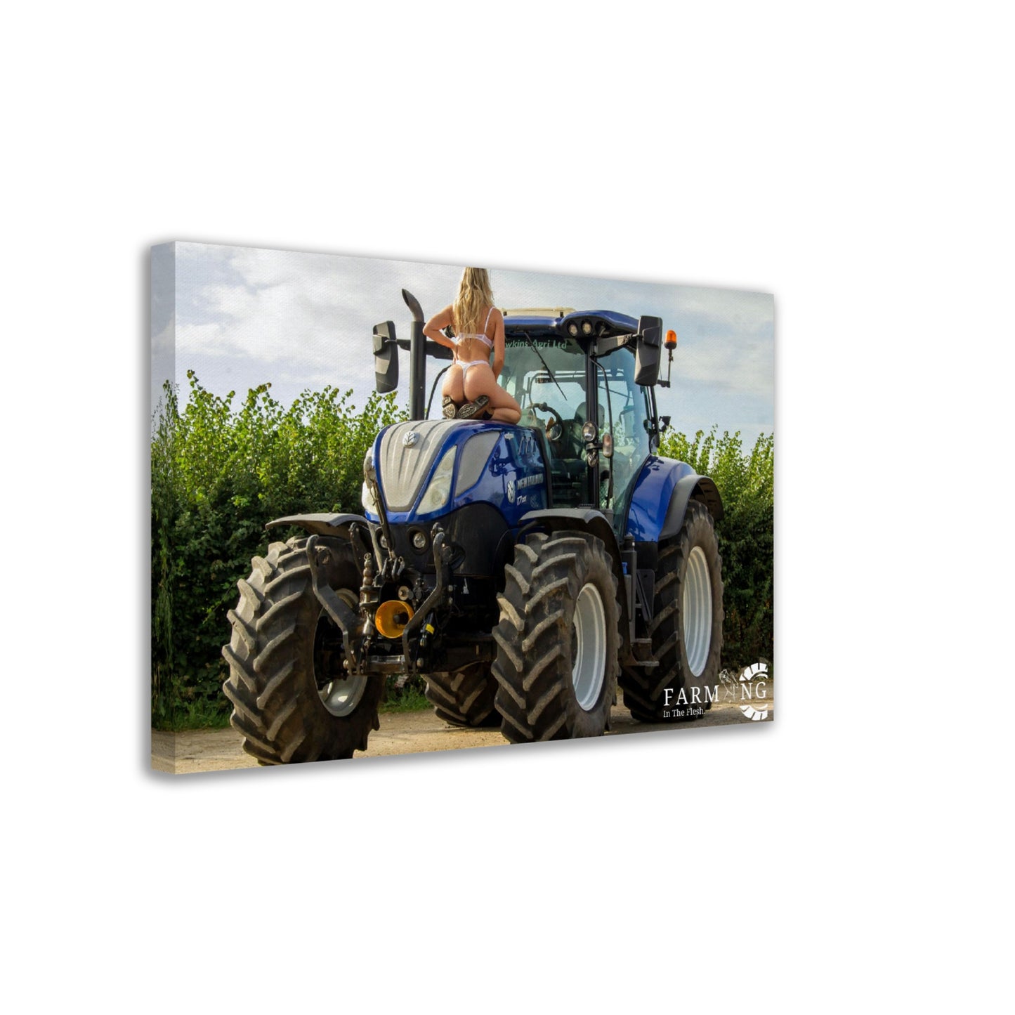 New Holland Canvas