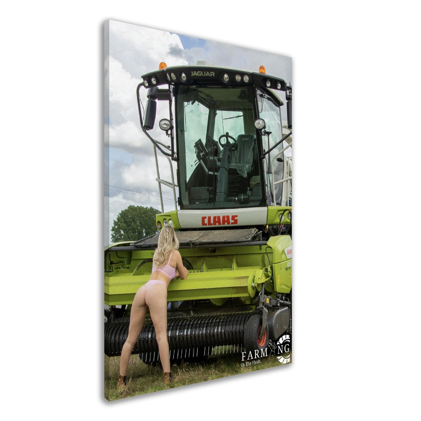 Claas Forager Canvas