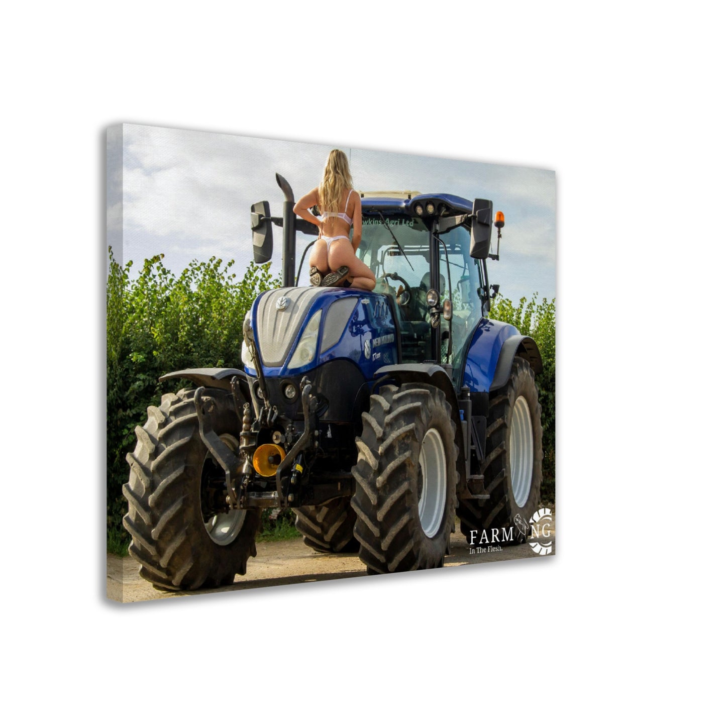 New Holland Canvas