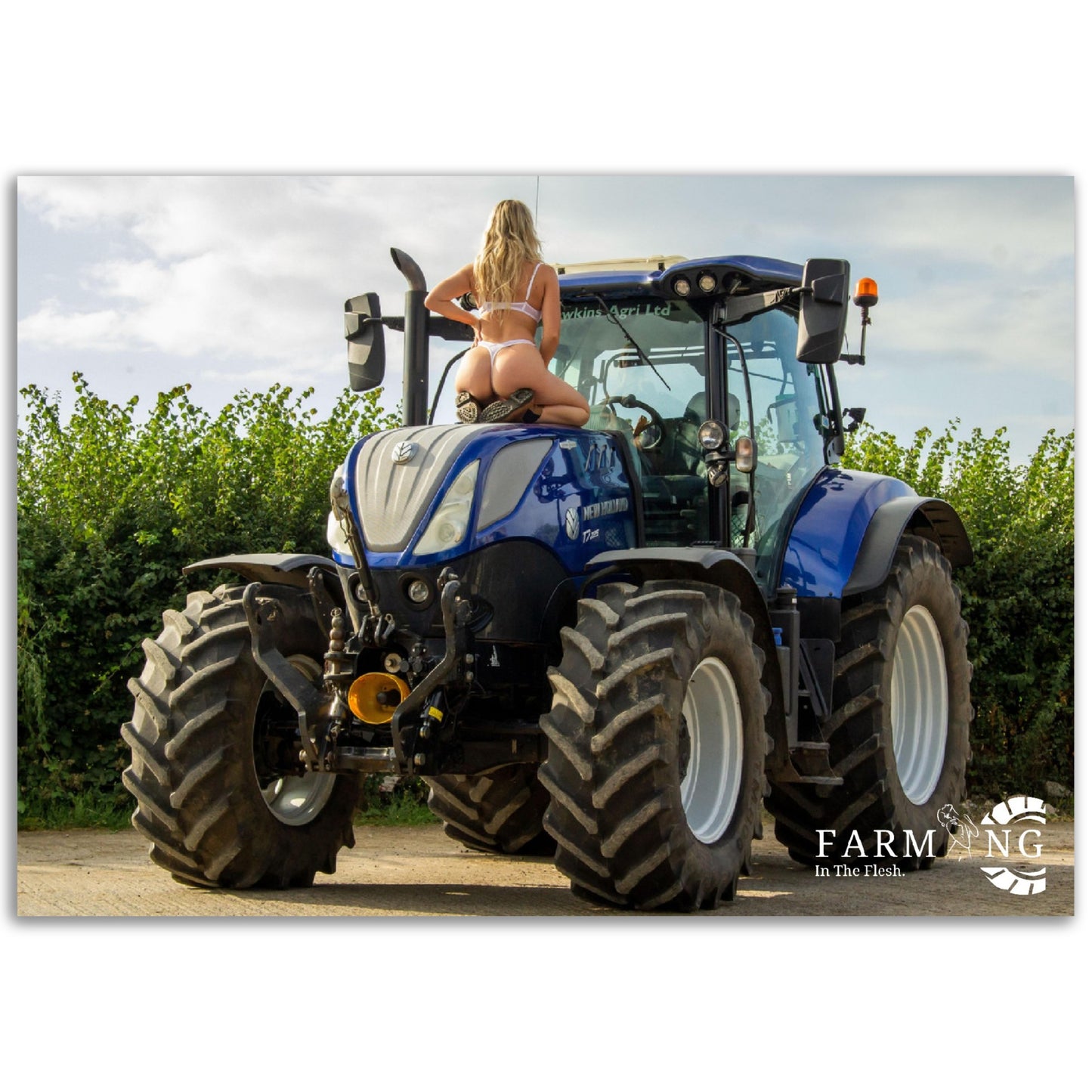 New Holland Poster
