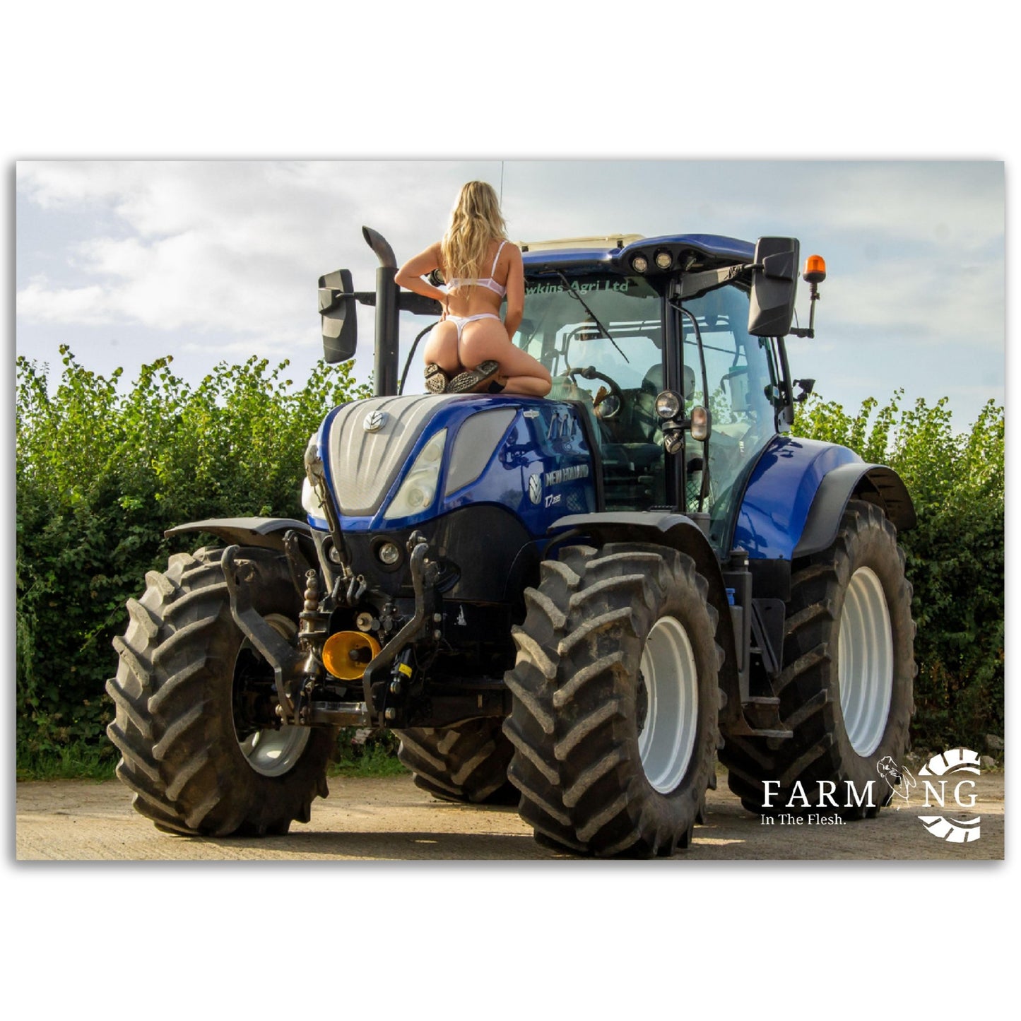 New Holland Poster