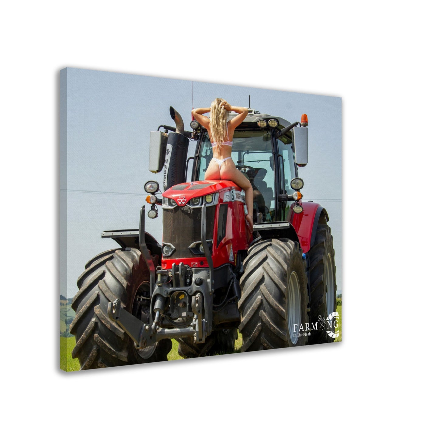 Massey Ferguson Canvas